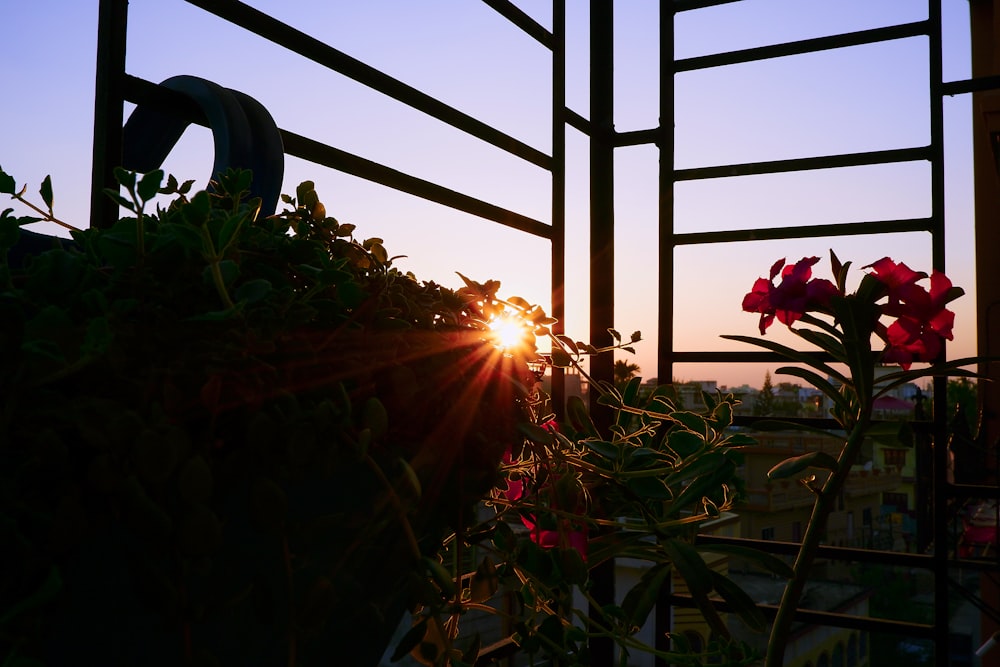 the sun is setting behind a metal fence