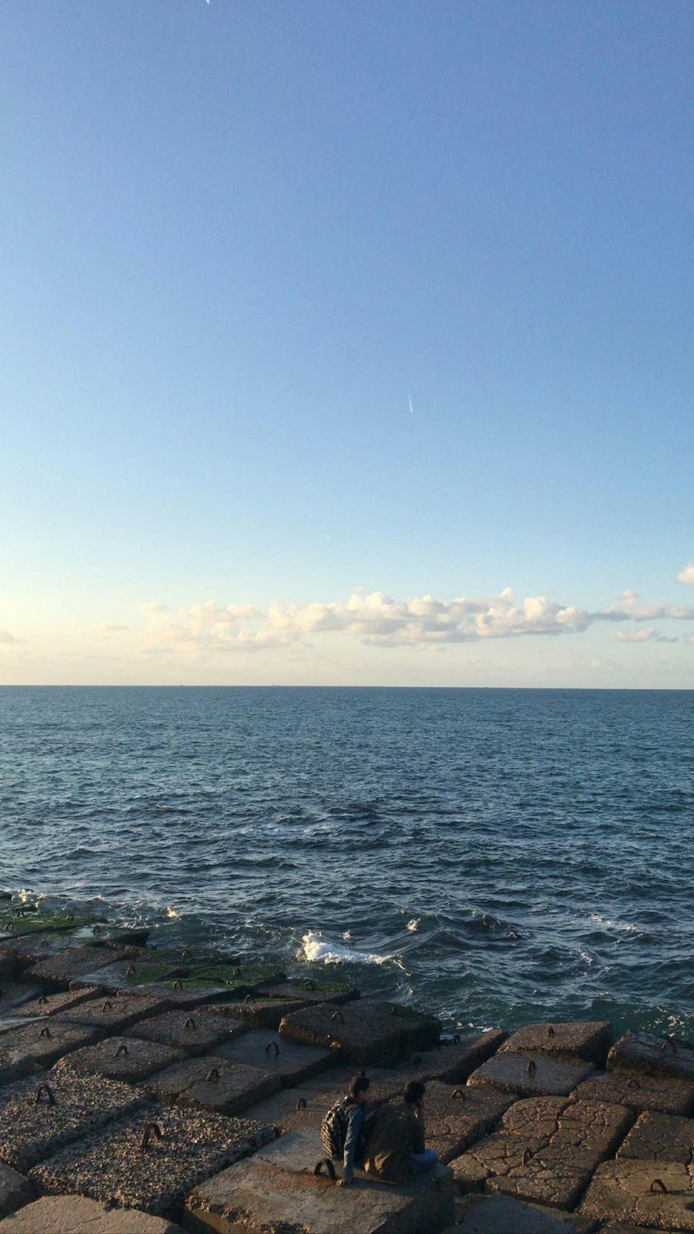 a person sitting on the edge of a brick walkway near the ocean