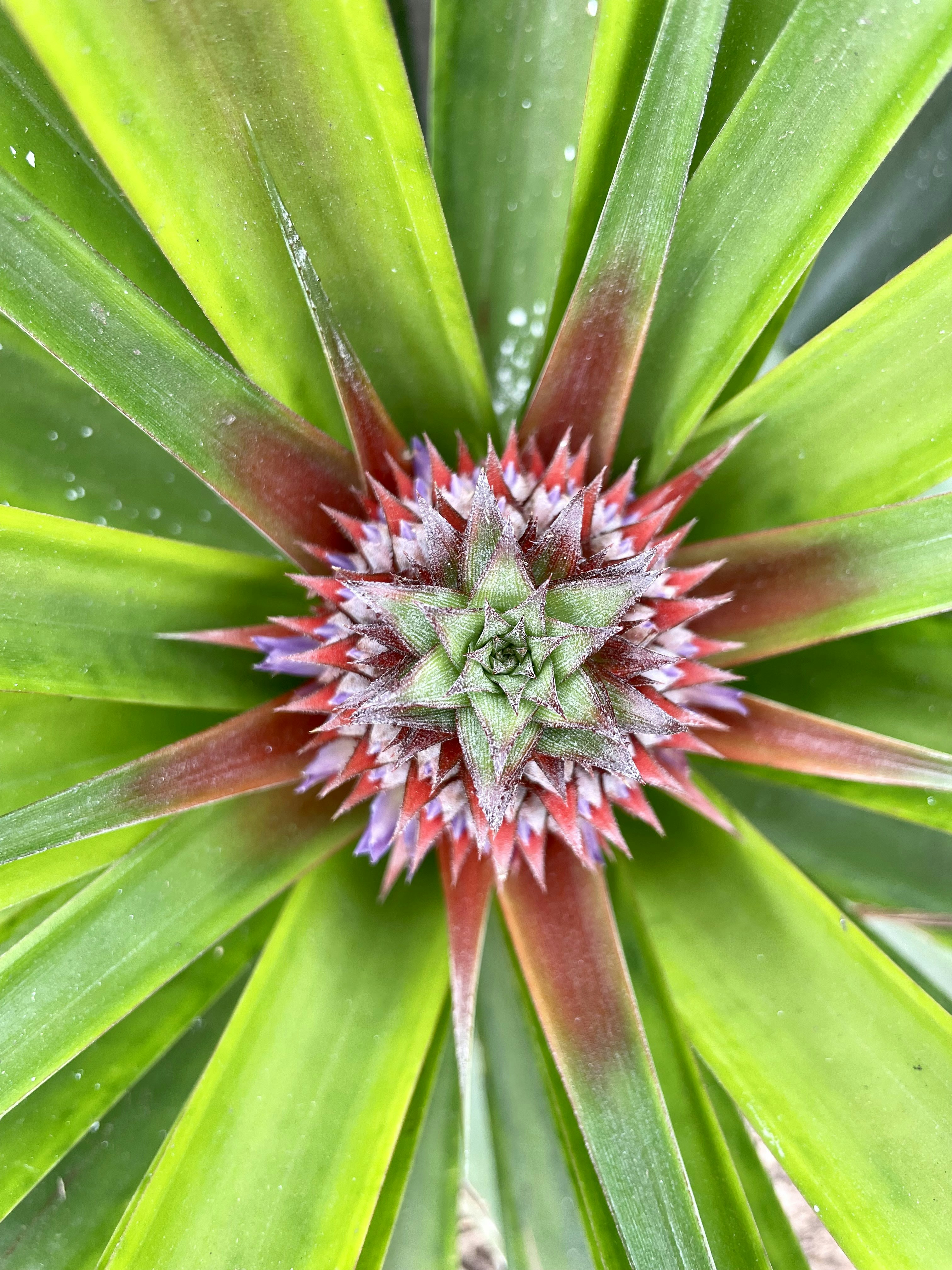 Photo by fabianarizzi