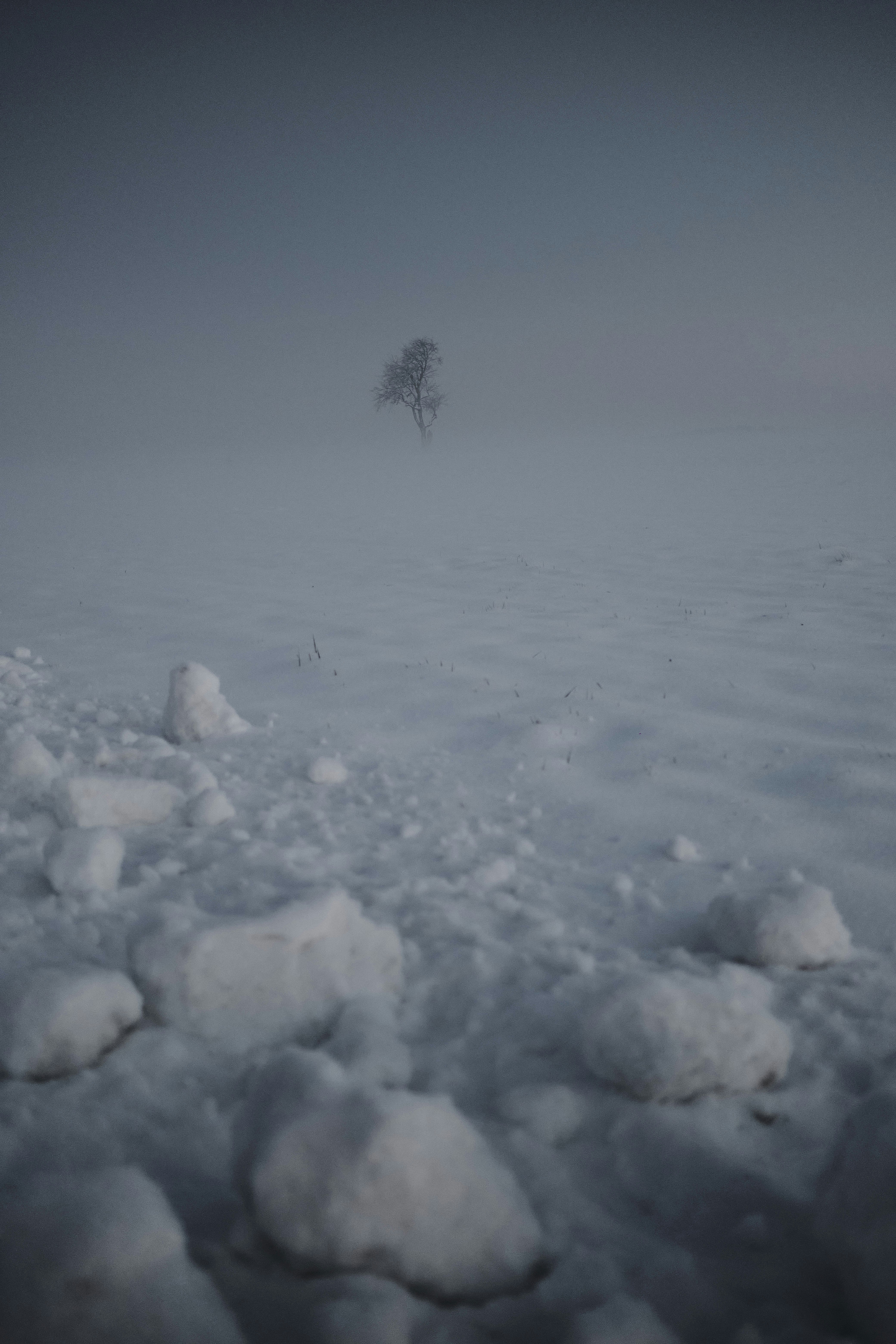 Photo by rolf_schmidbauer