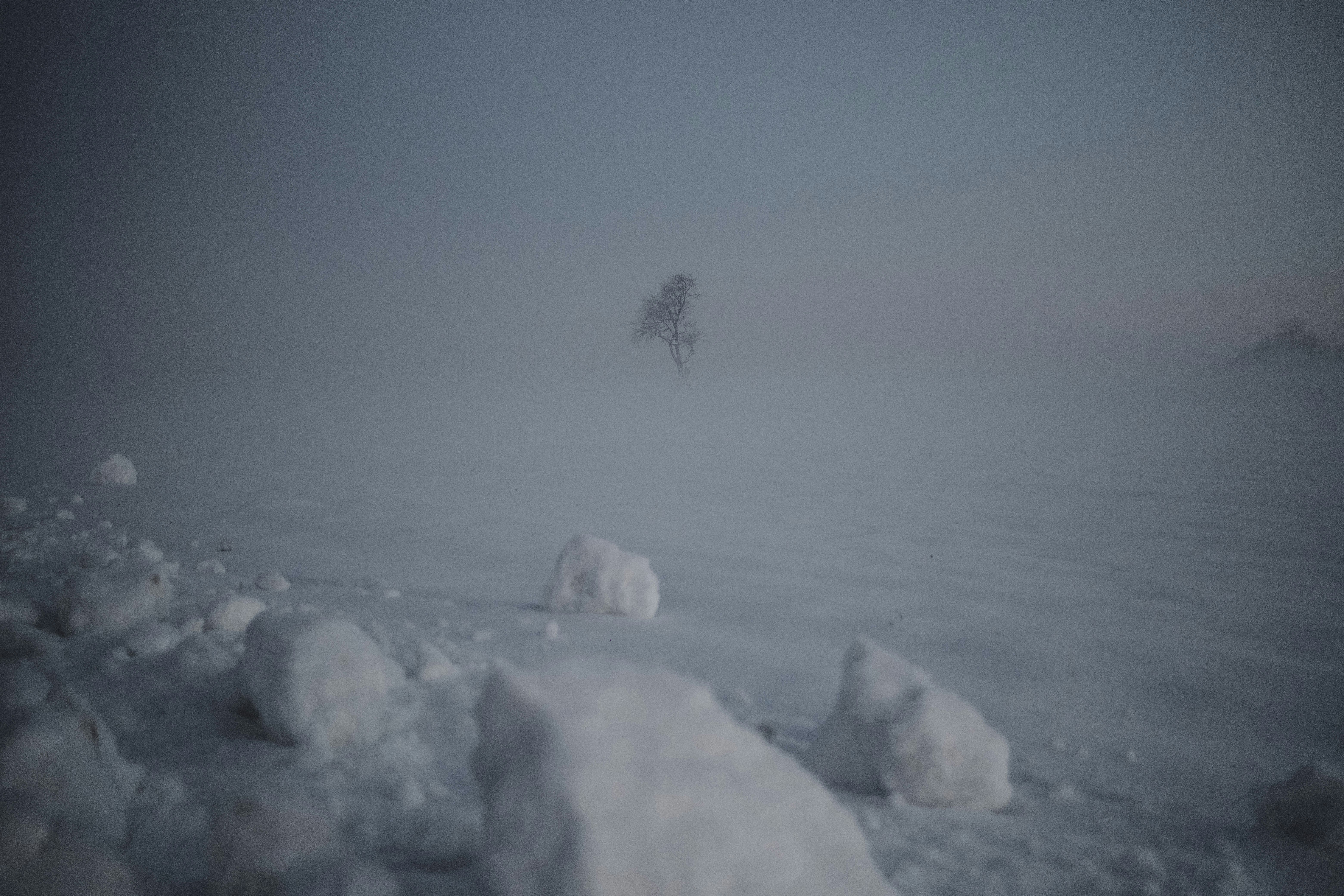 Photo by rolf_schmidbauer