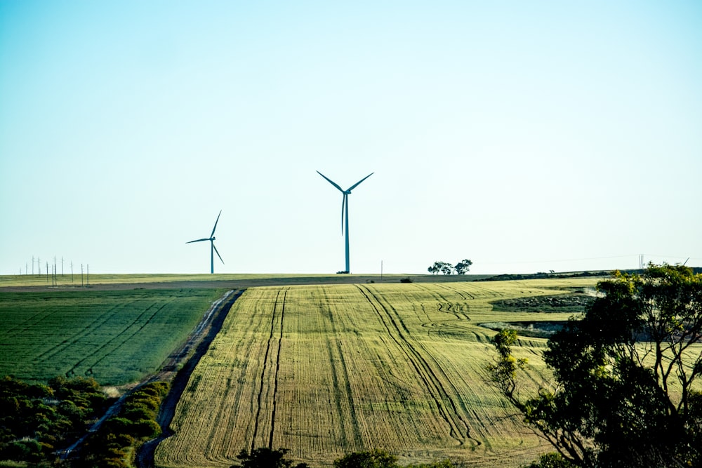 a field with several wind mills in the distance