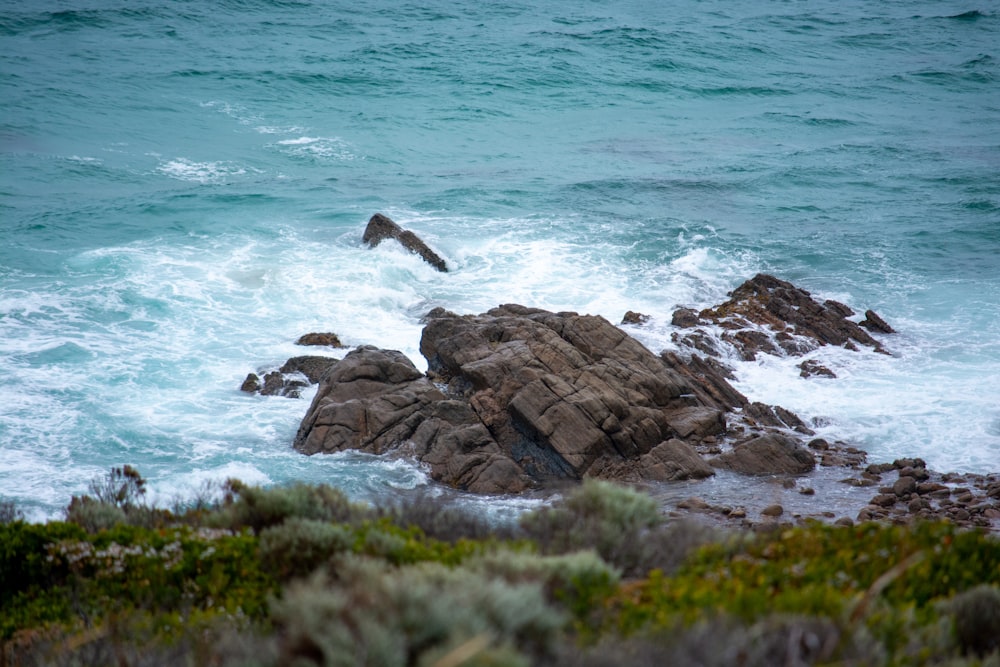 a bird is flying over the water near the rocks