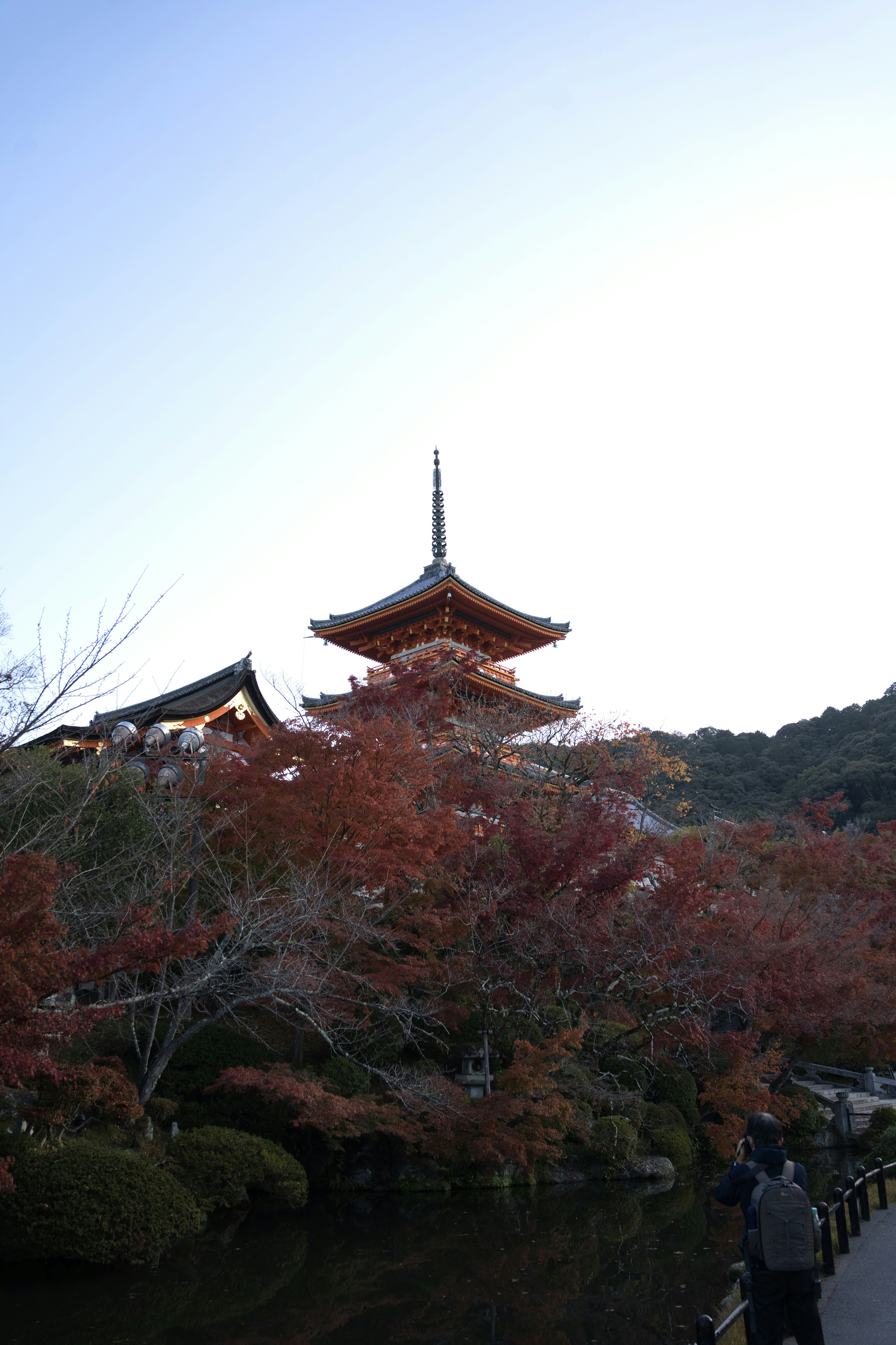 Photo by hiraganakat