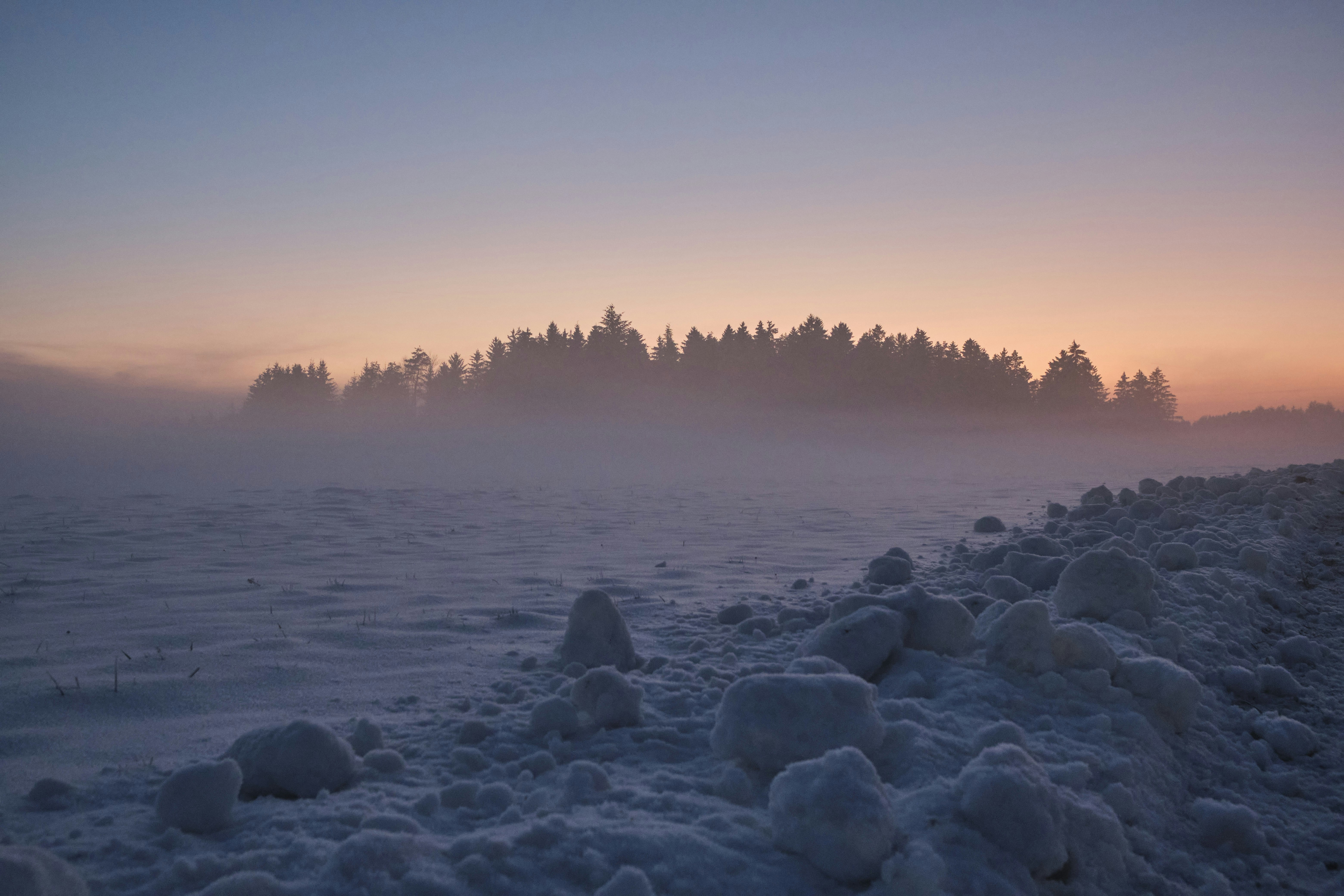 a snow covered field with trees in the background