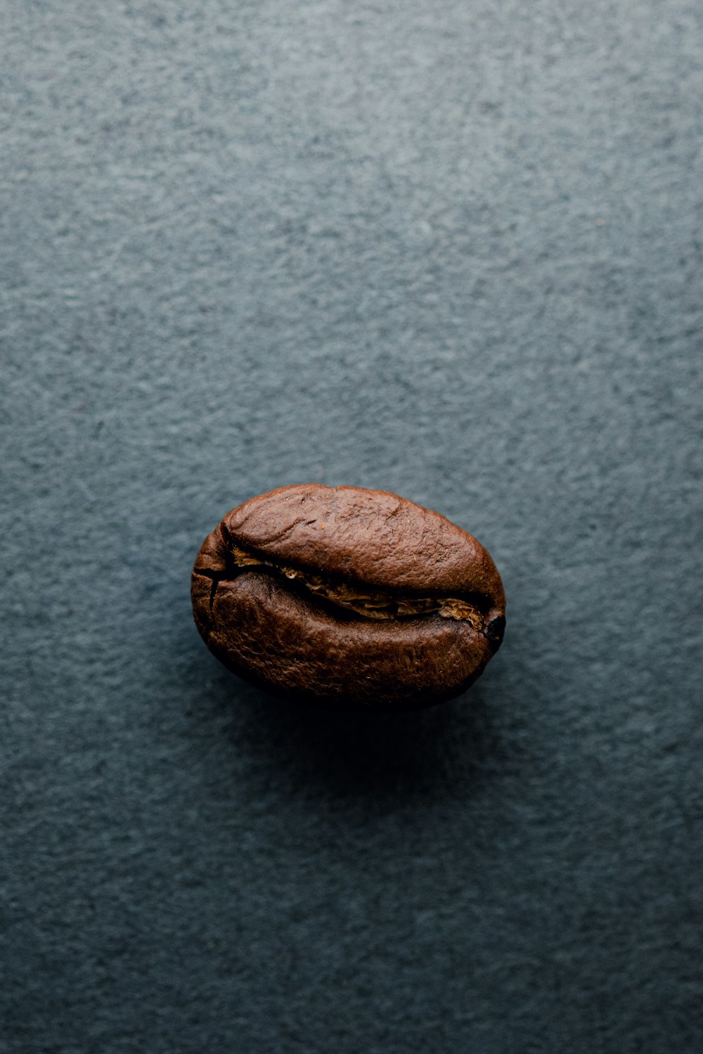 a coffee bean sitting on top of a blue surface