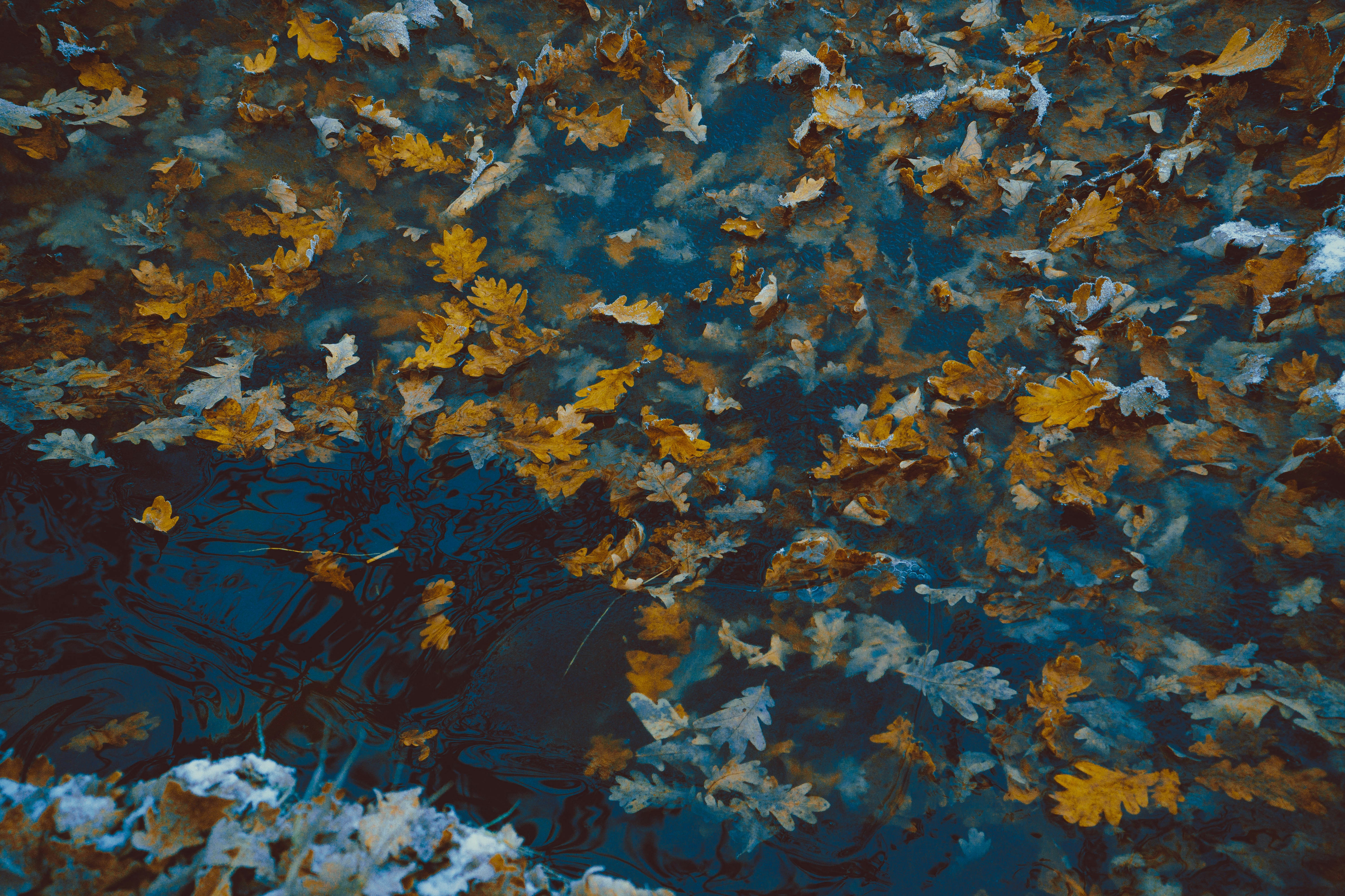 Afbeelding van Eindhoven