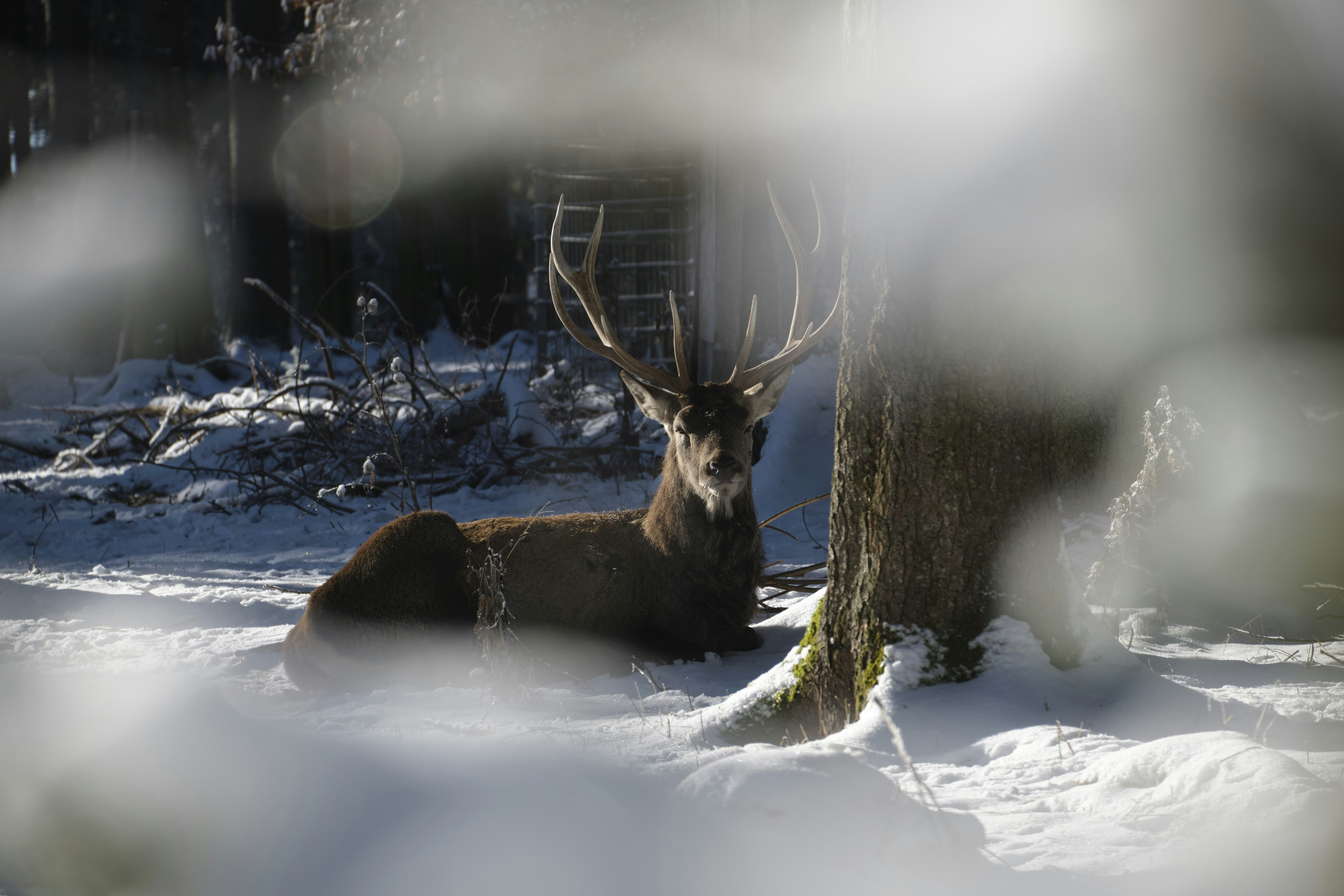 Photo by rolf_schmidbauer