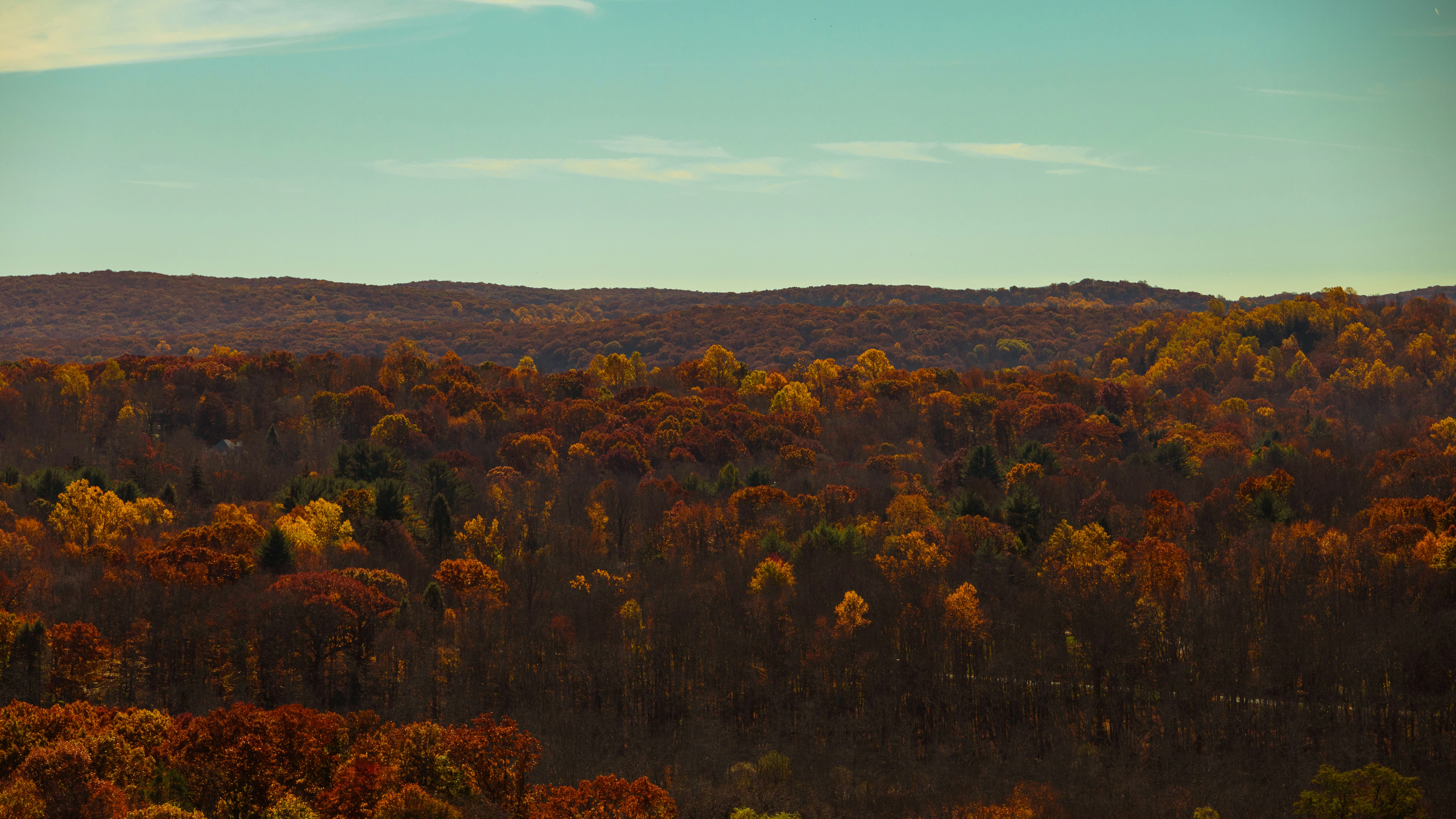 a scenic view of a wooded area with trees in the foreground, Let me know how you like my works :)