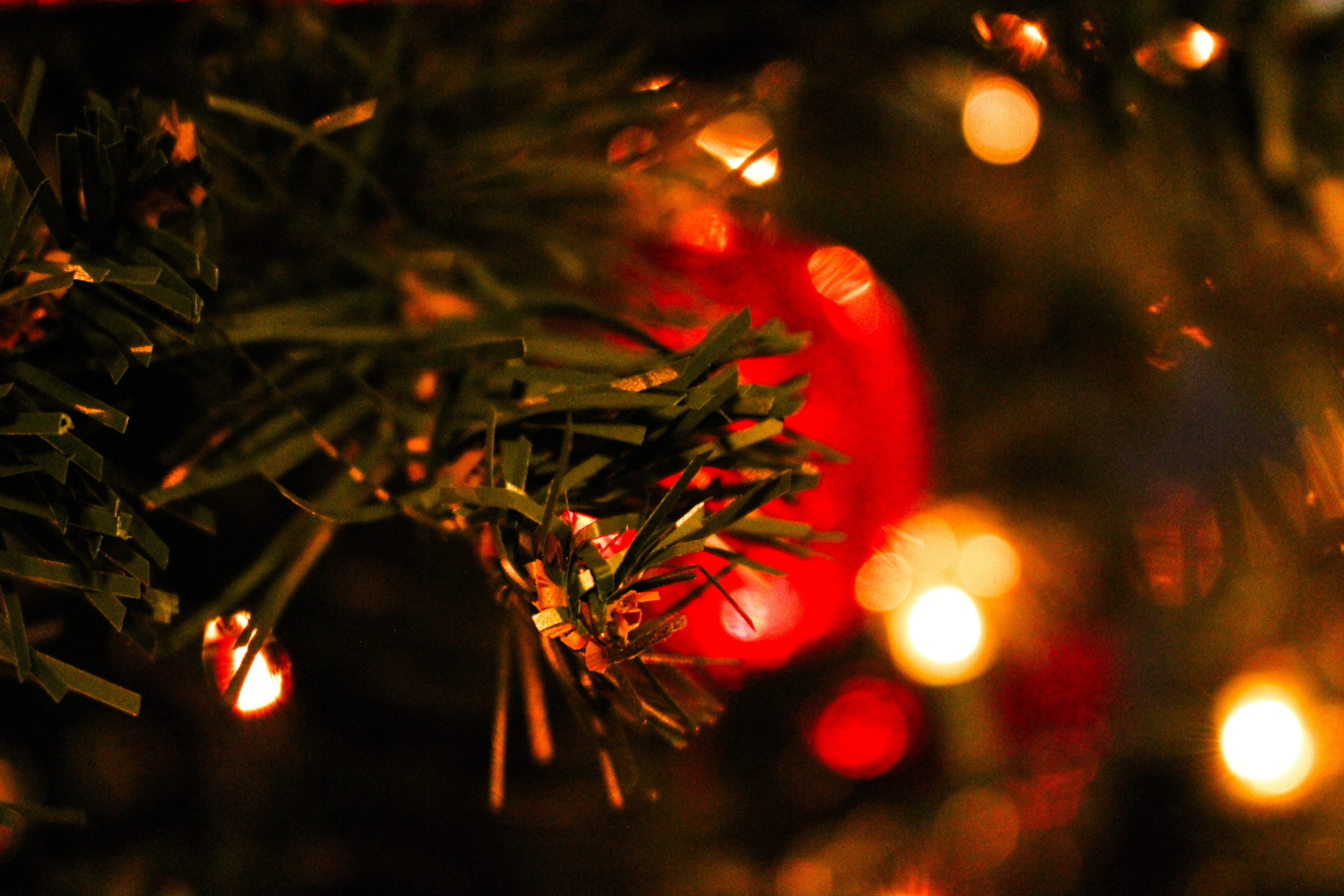 Photo by elijahaustin