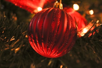 Close-up of a sparkling red and green eco-friendly Christmas ornament hanging on a pine branch.