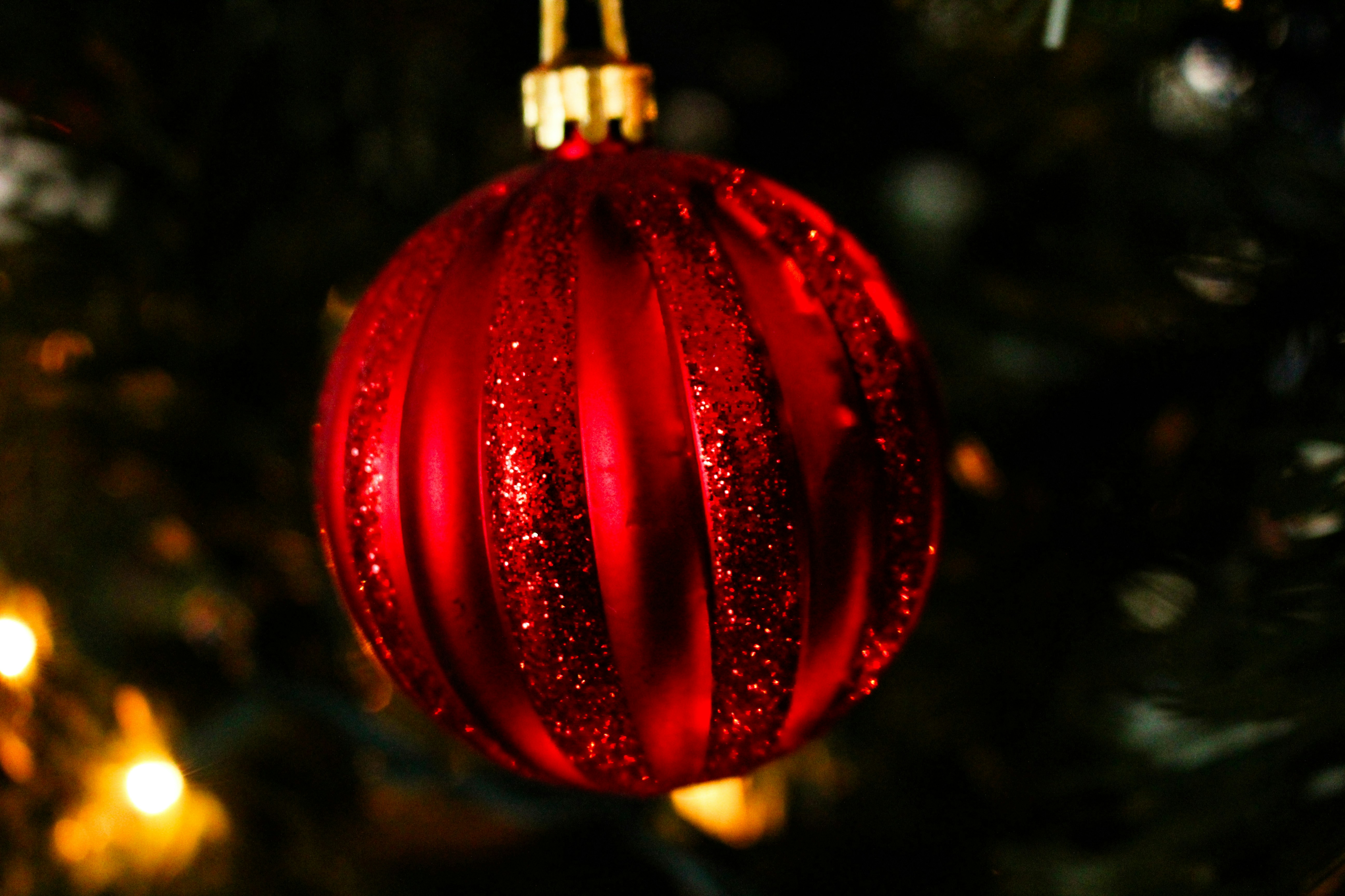 Photo by elijahaustin