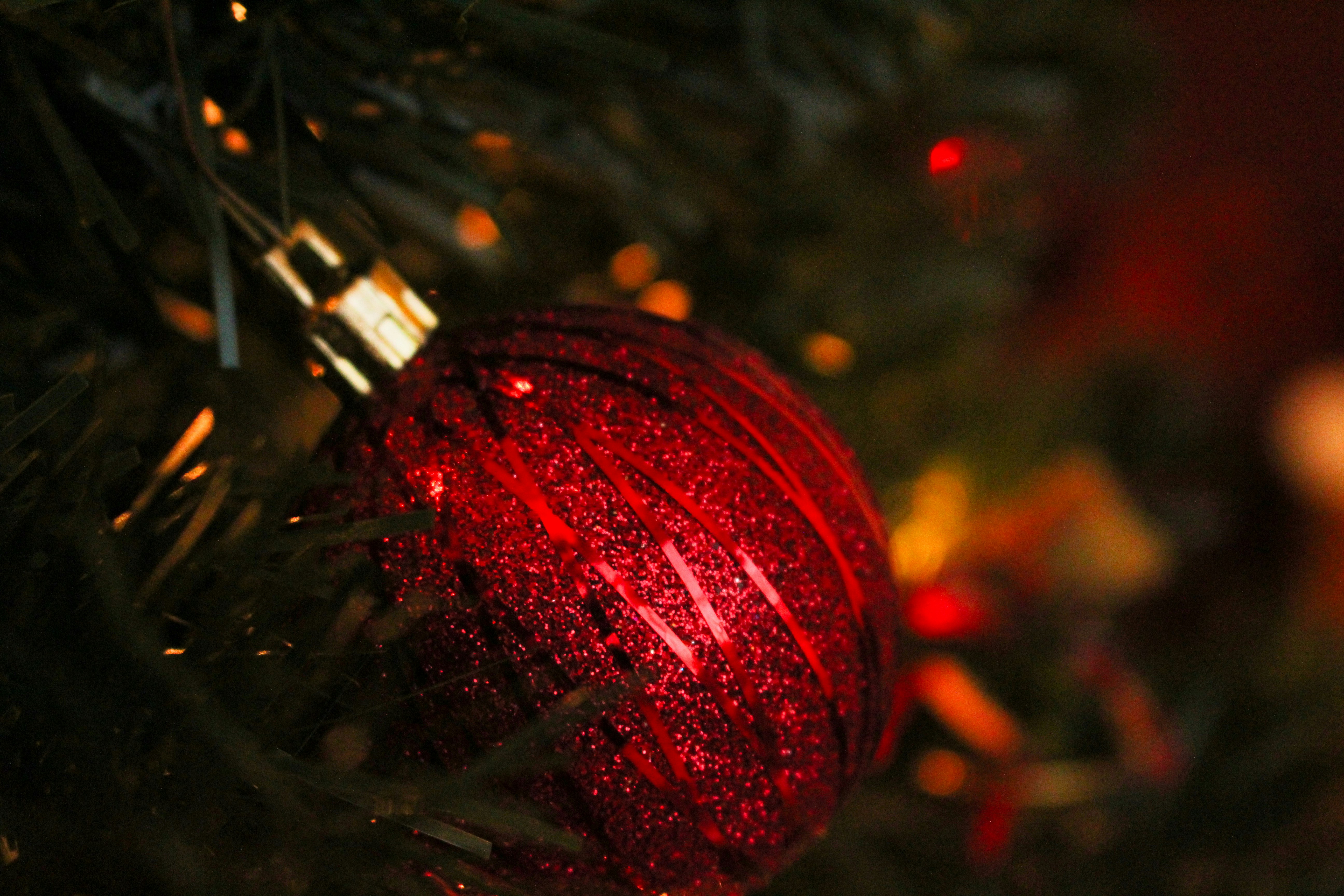 Photo by elijahaustin