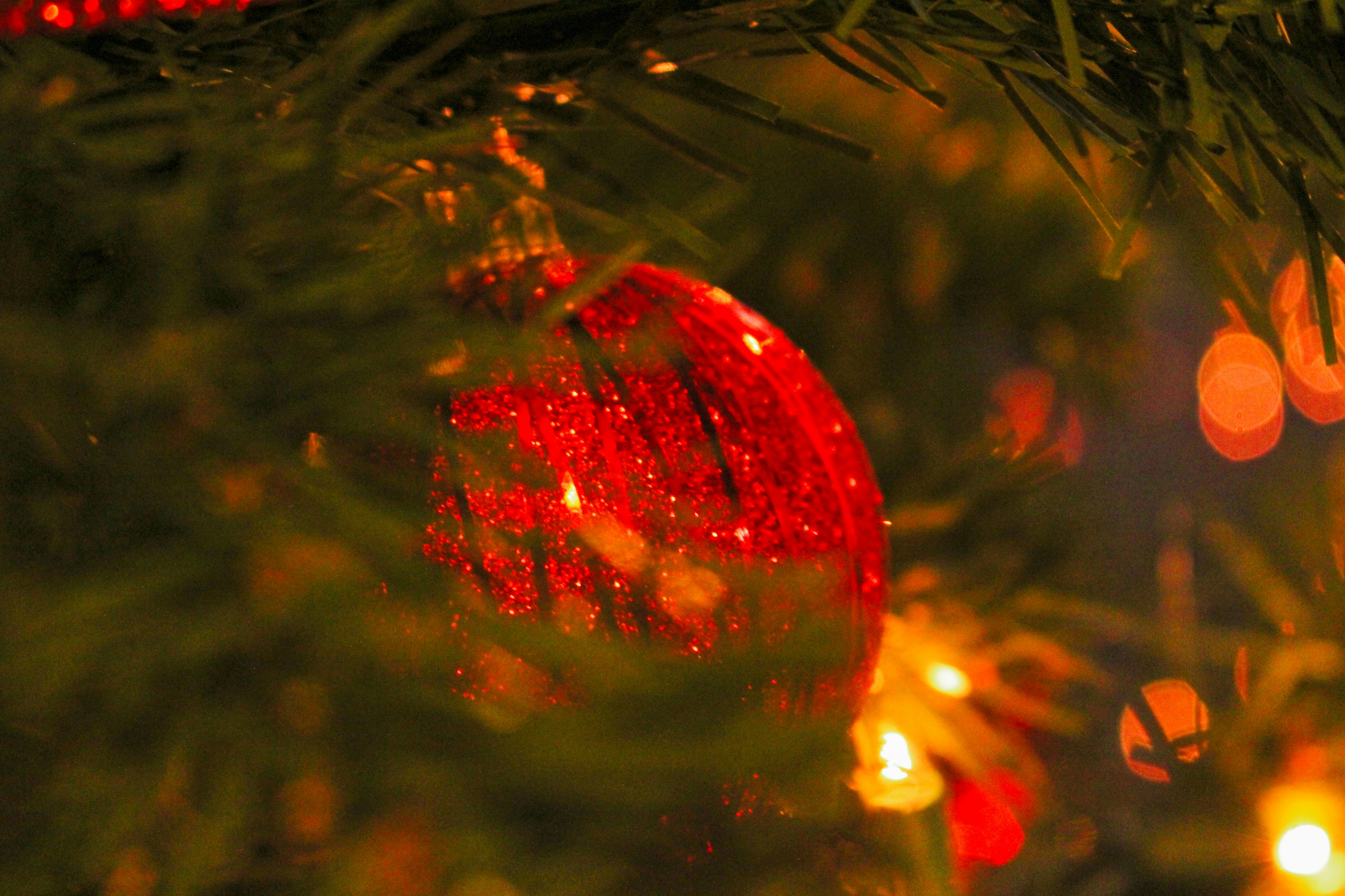 Photo by elijahaustin