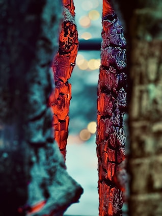 A warm-toned photo showcasing a blend of Indonesian teak furniture, rich spices, and glowing charcoal briquettes.