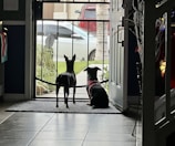 Two dogs sit side by side, looking out through a screen door into the yard. Outside, a white and a red vehicle are parked on the driveway next to some greenery, including grass and potted plants. The interior of the house has tiled floors and dim lighting, creating a cozy atmosphere.