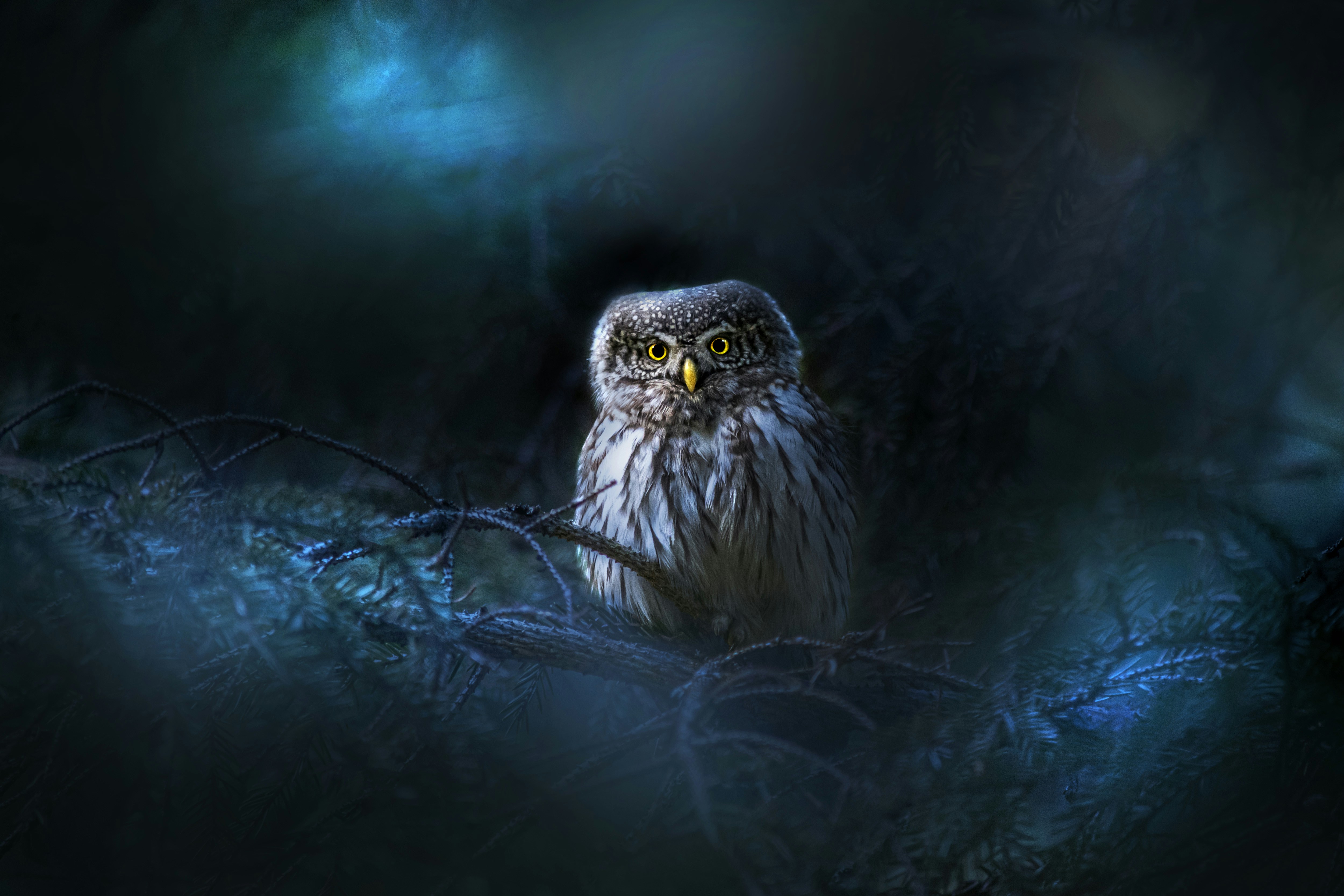 Photo by erik_karits