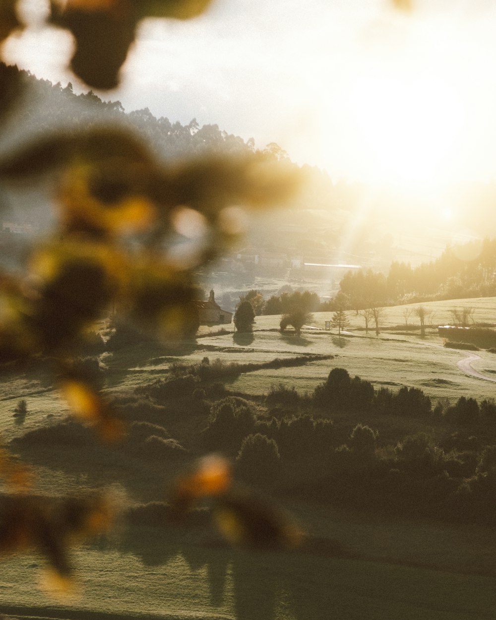 the sun is shining over a green field