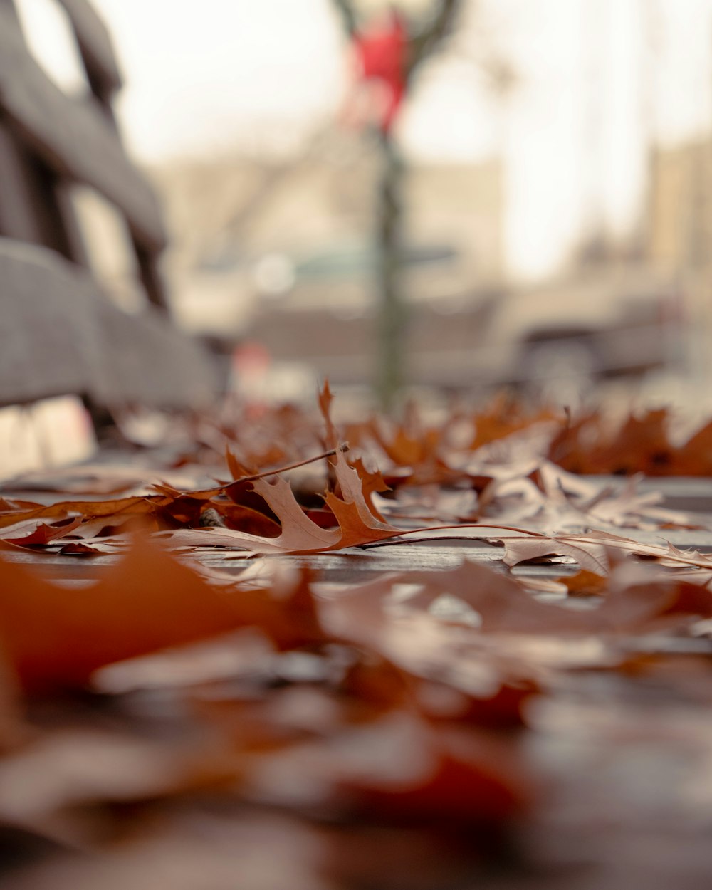 a park bench that has fallen leaves on it