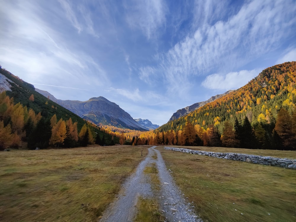 a dirt road in the middle of a field