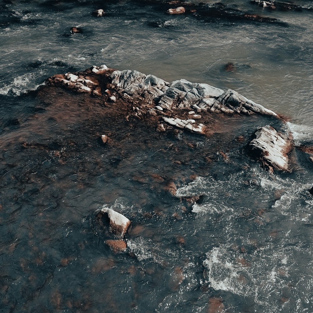 a body of water with rocks in it