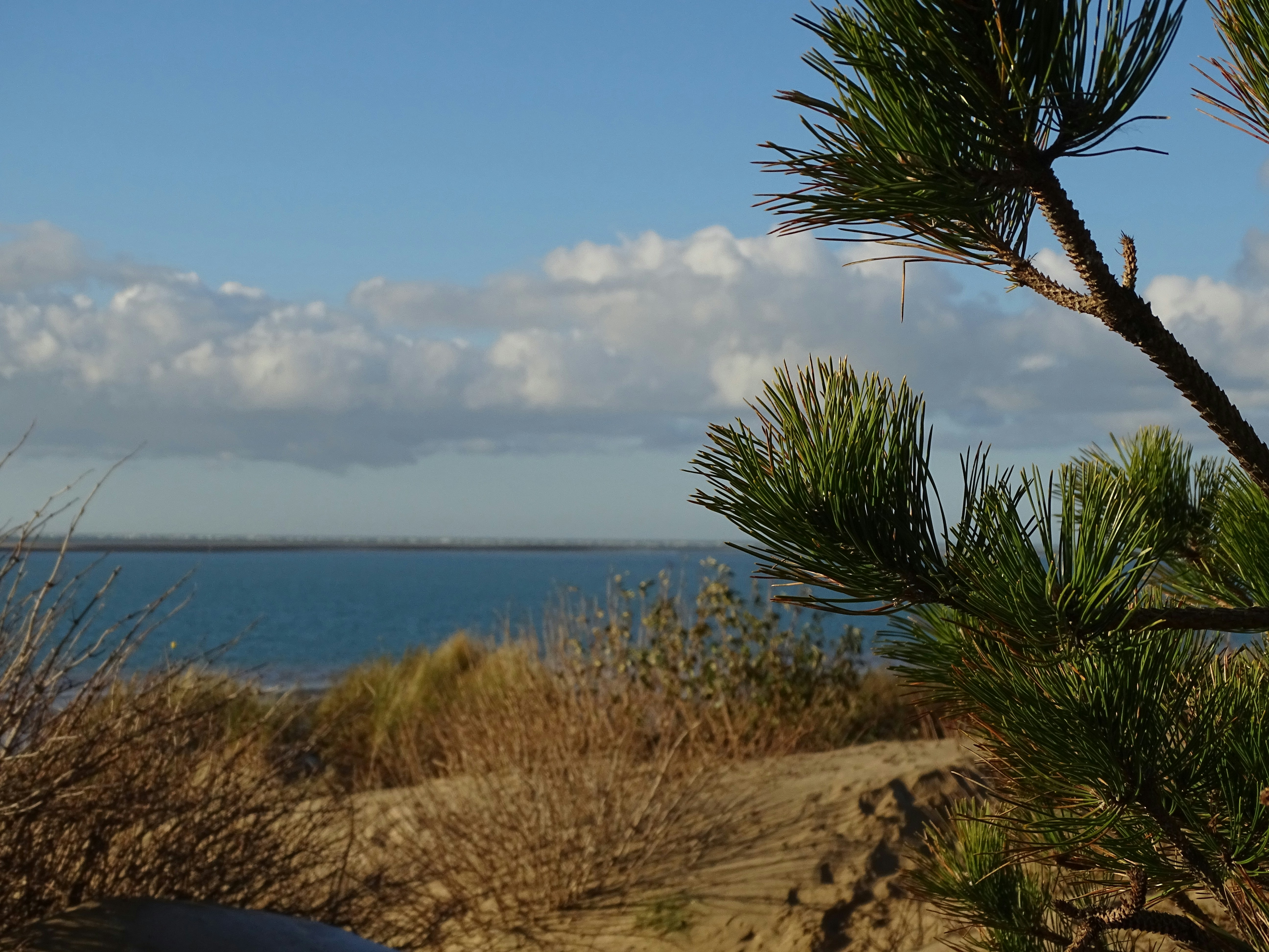 Bayville Park