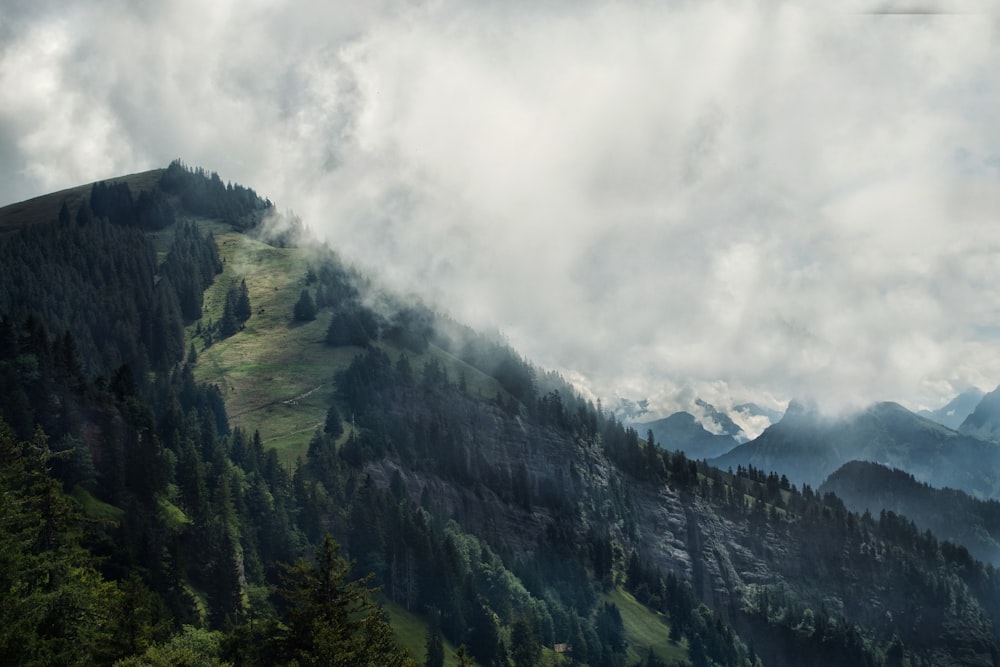 a mountain covered in clouds and trees