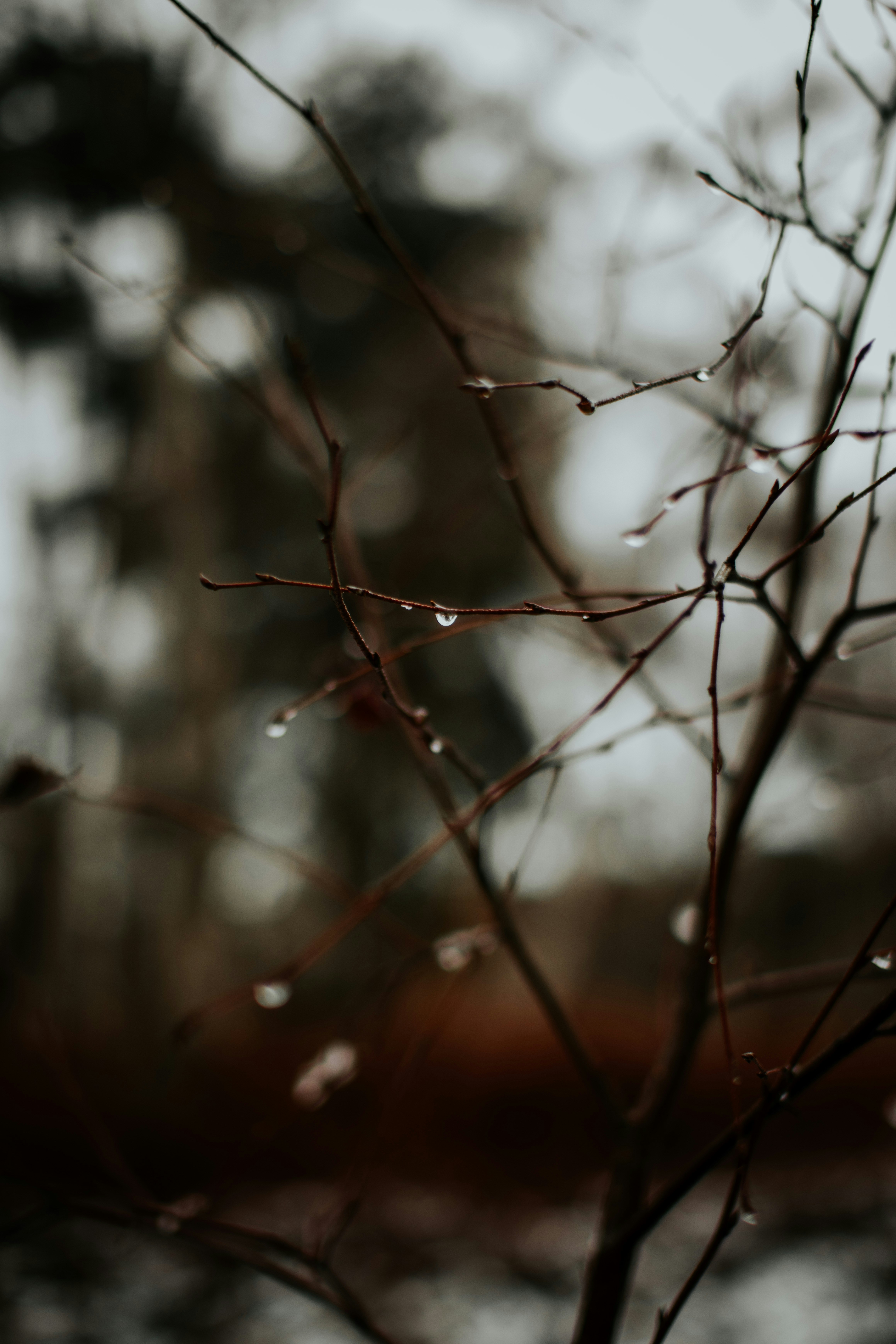 Photo by lanathegraves