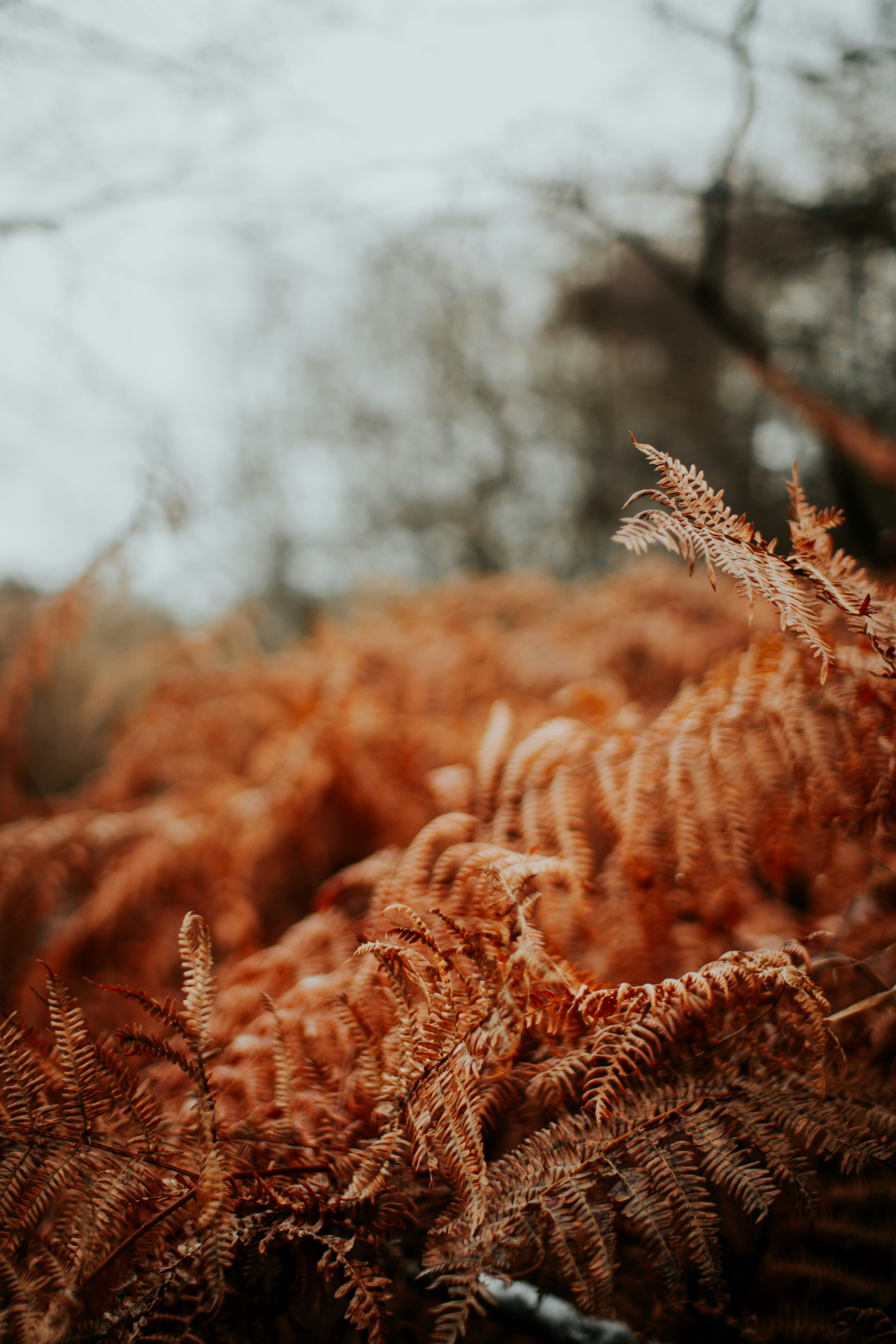 Photo by lanathegraves