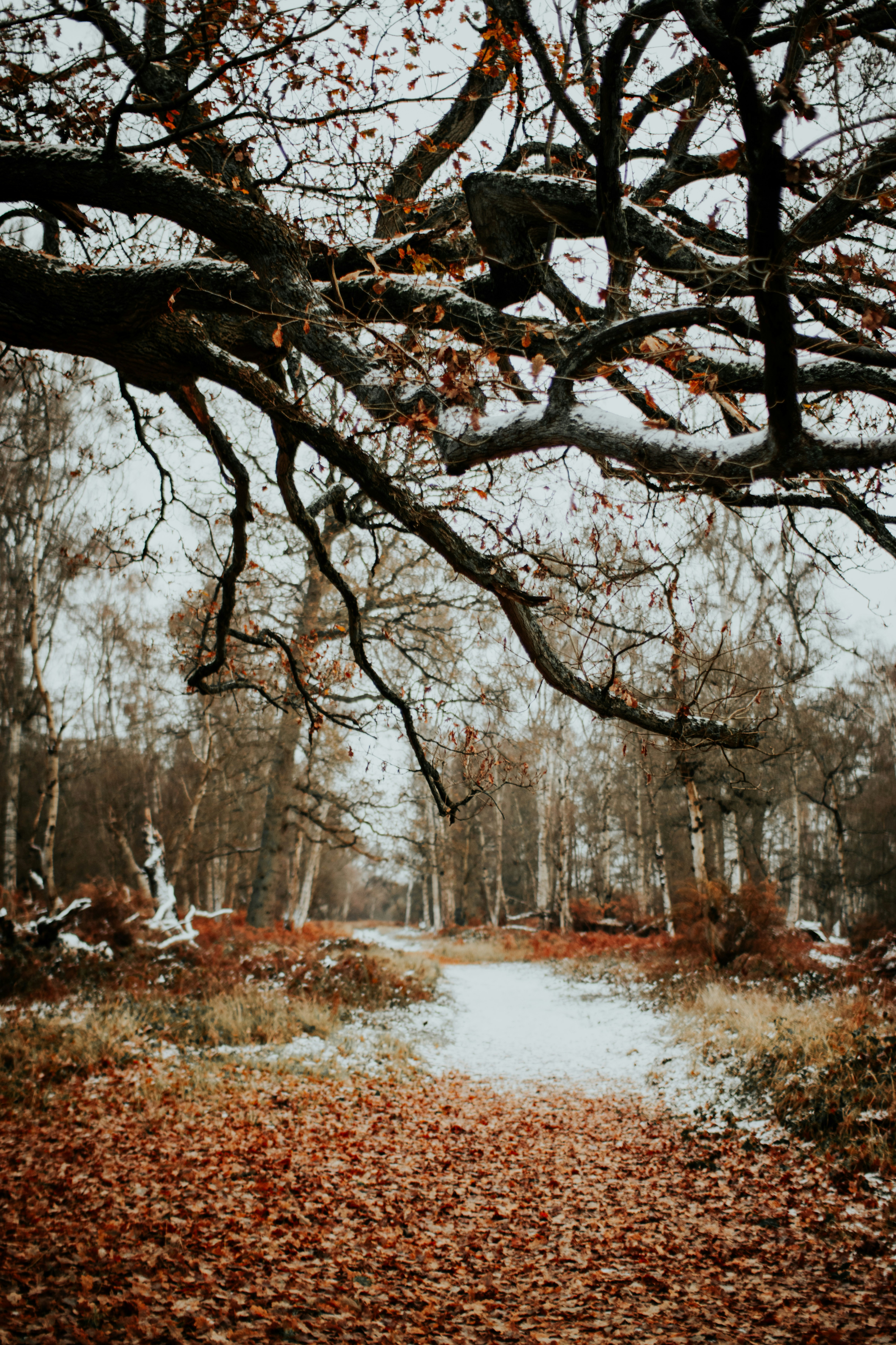 Photo by lanathegraves