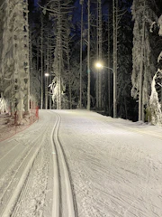 Snowshoe trekking on pristine snowy trails through a quiet arctic forest at dusk.