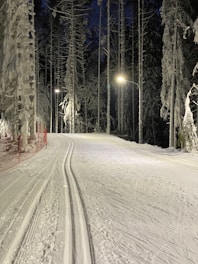 Trail winding through snow-covered terrain perfect for cross-country skiing.