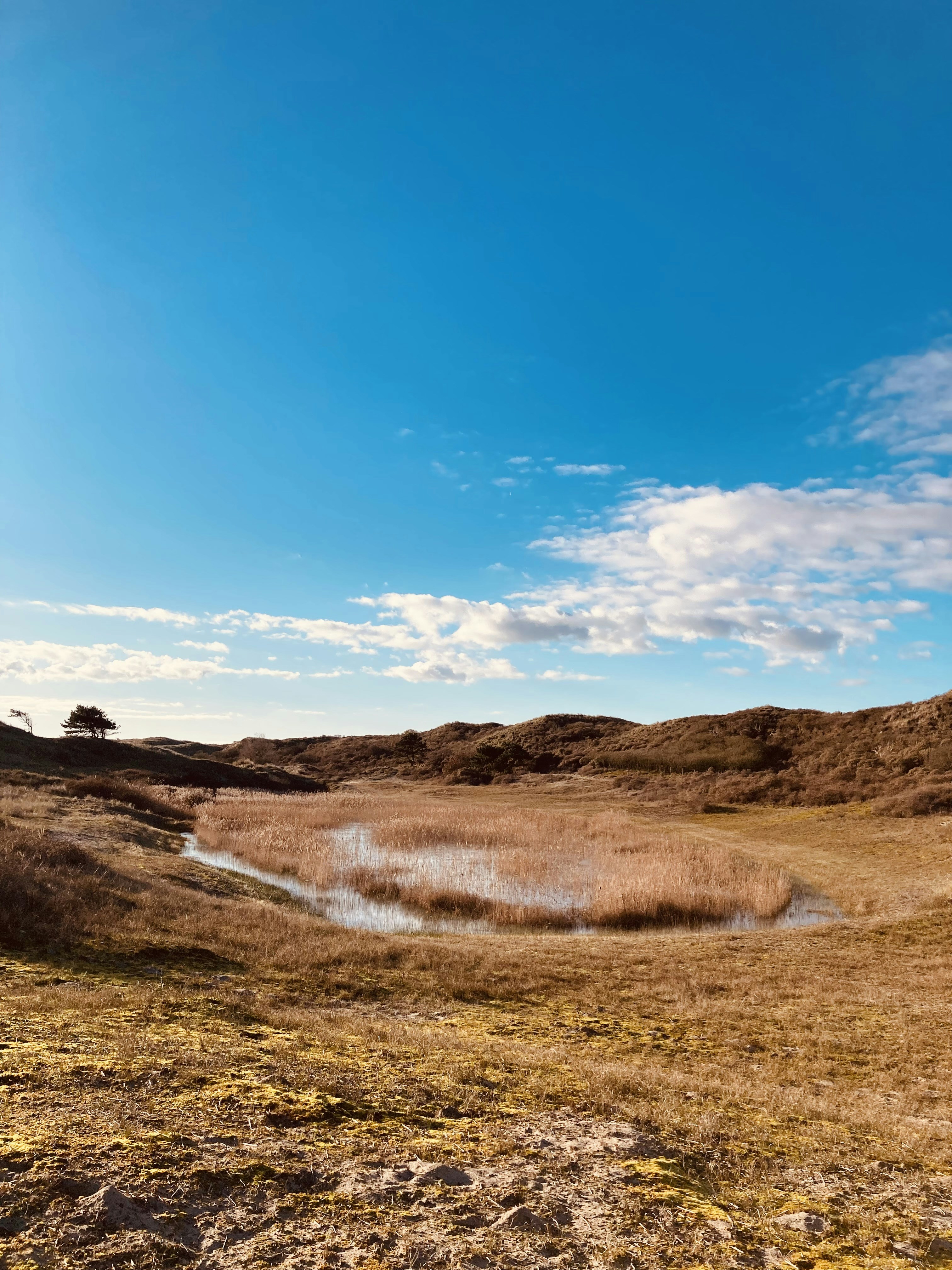 Photo by naomidekker