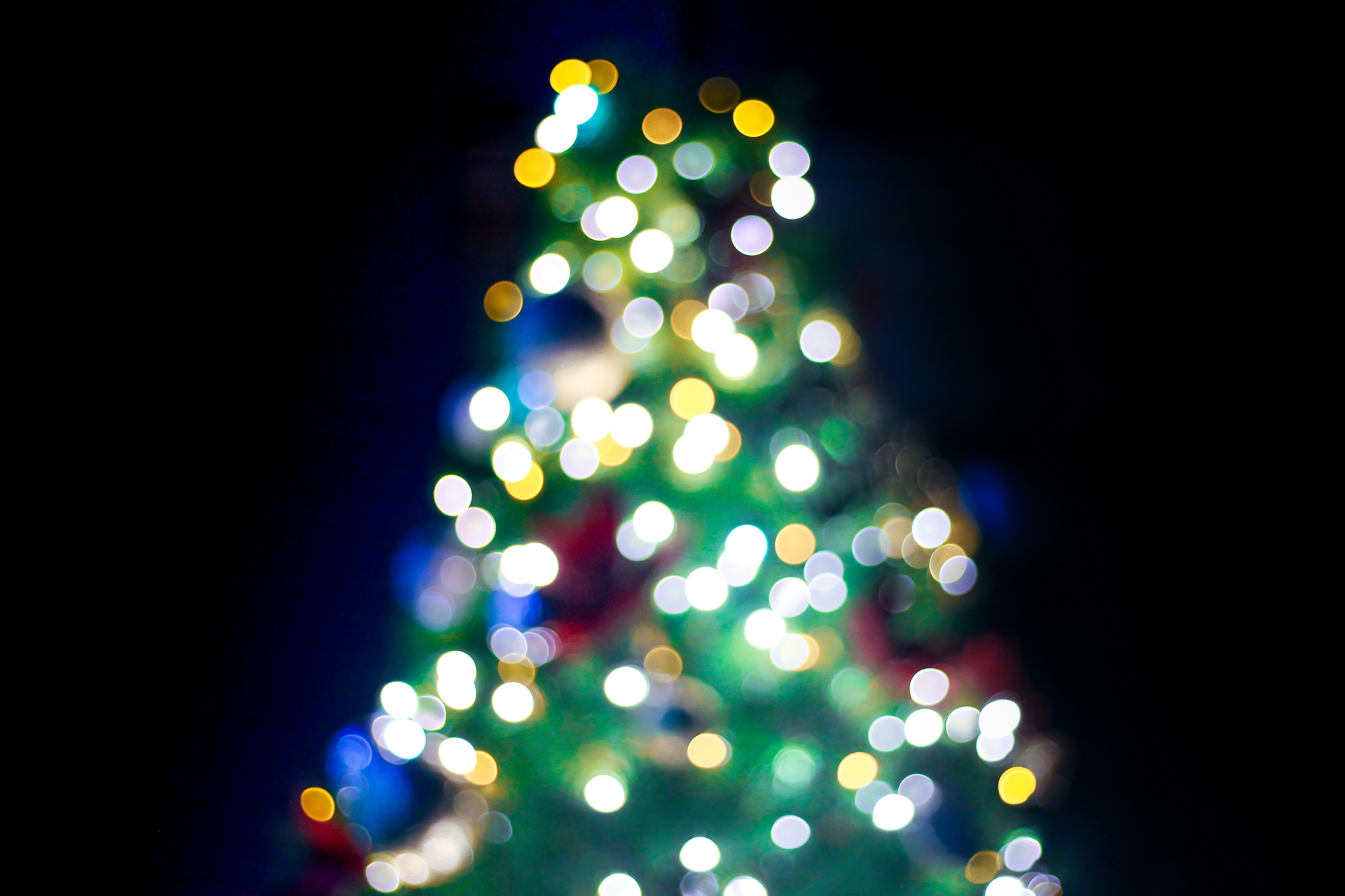 Photo by rickyrynselo