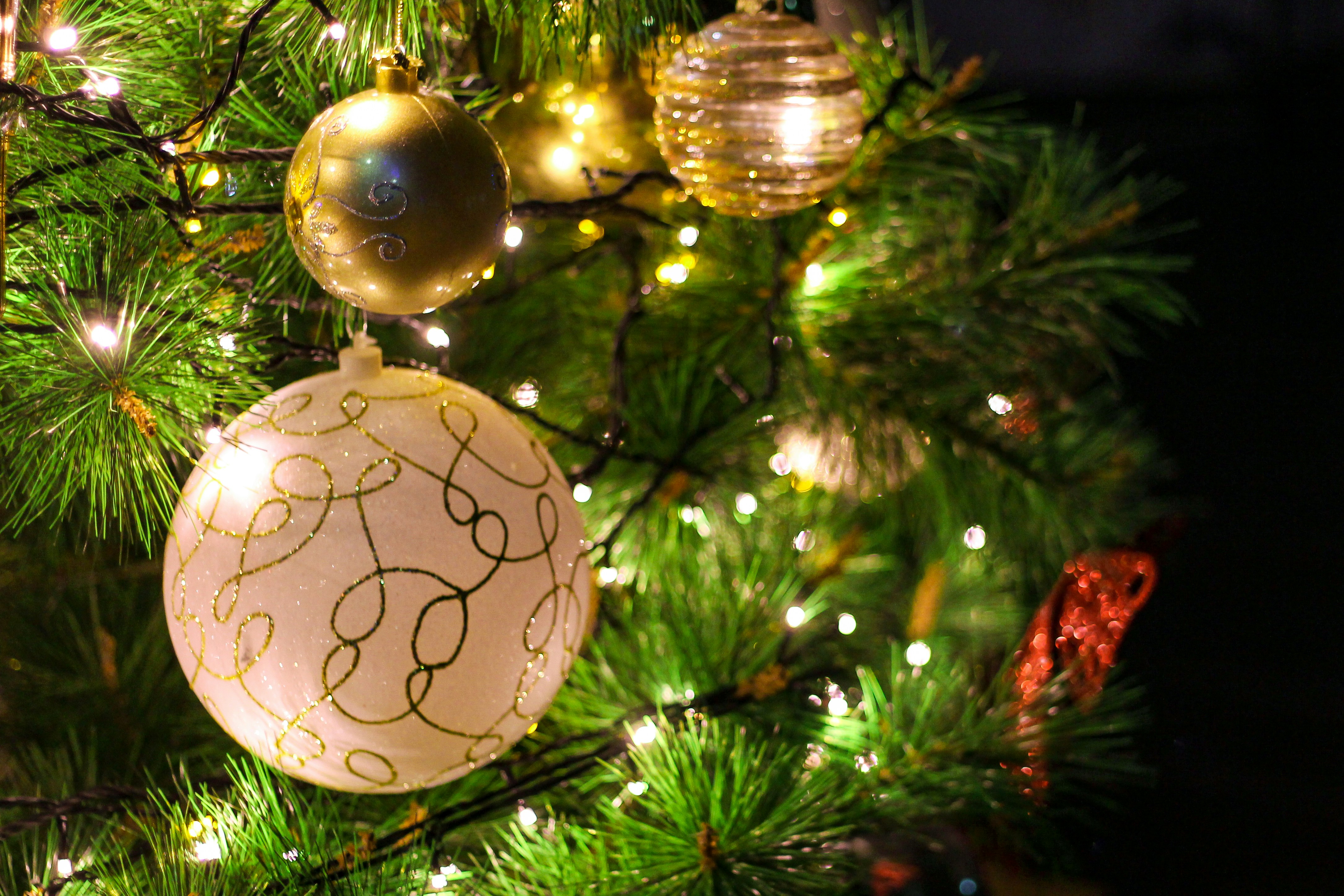 Christmas Greetings from QMSA