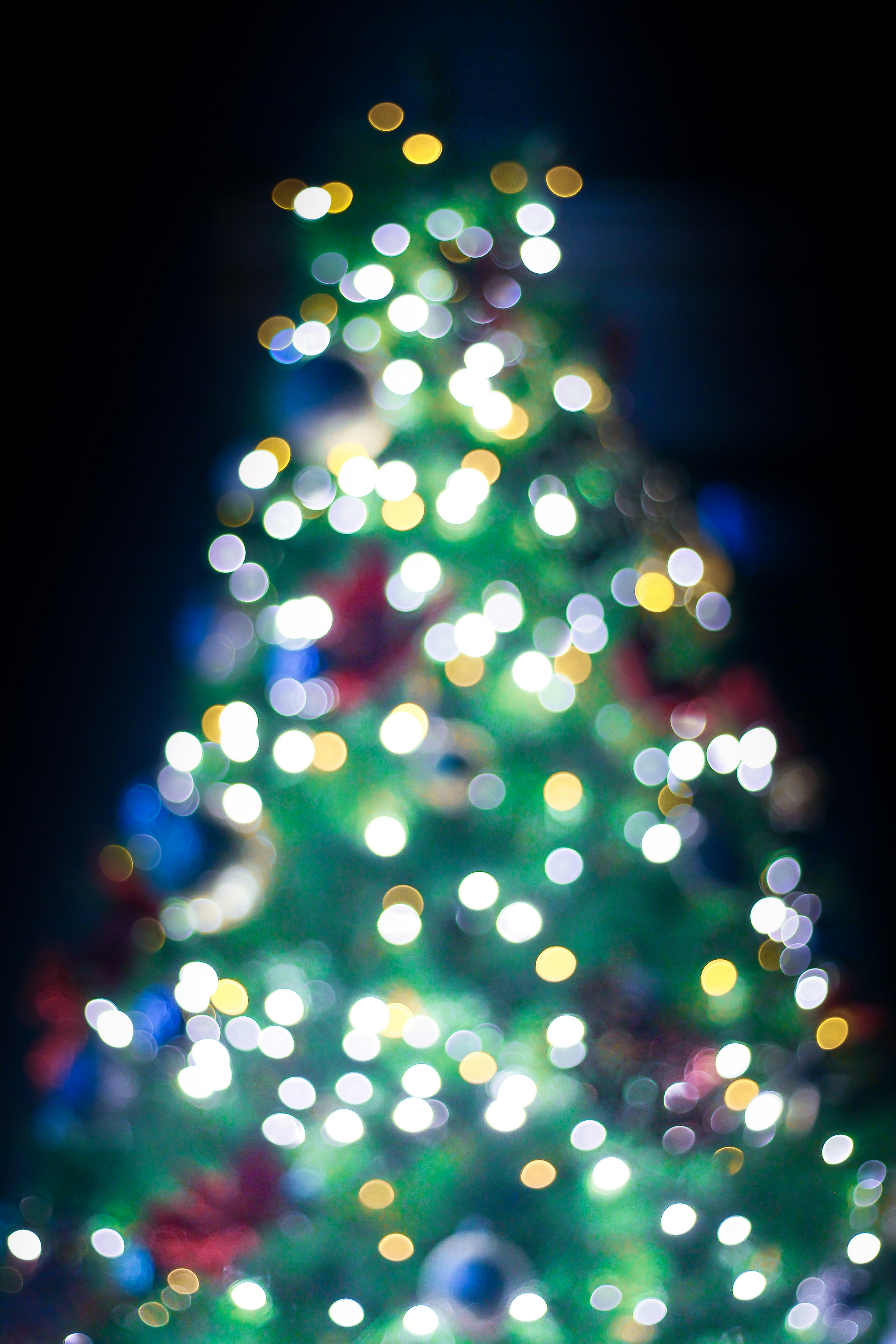 Photo by rickyrynselo