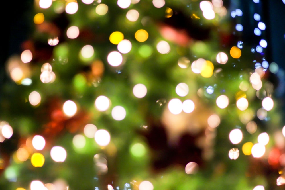 a close up of a lit christmas tree