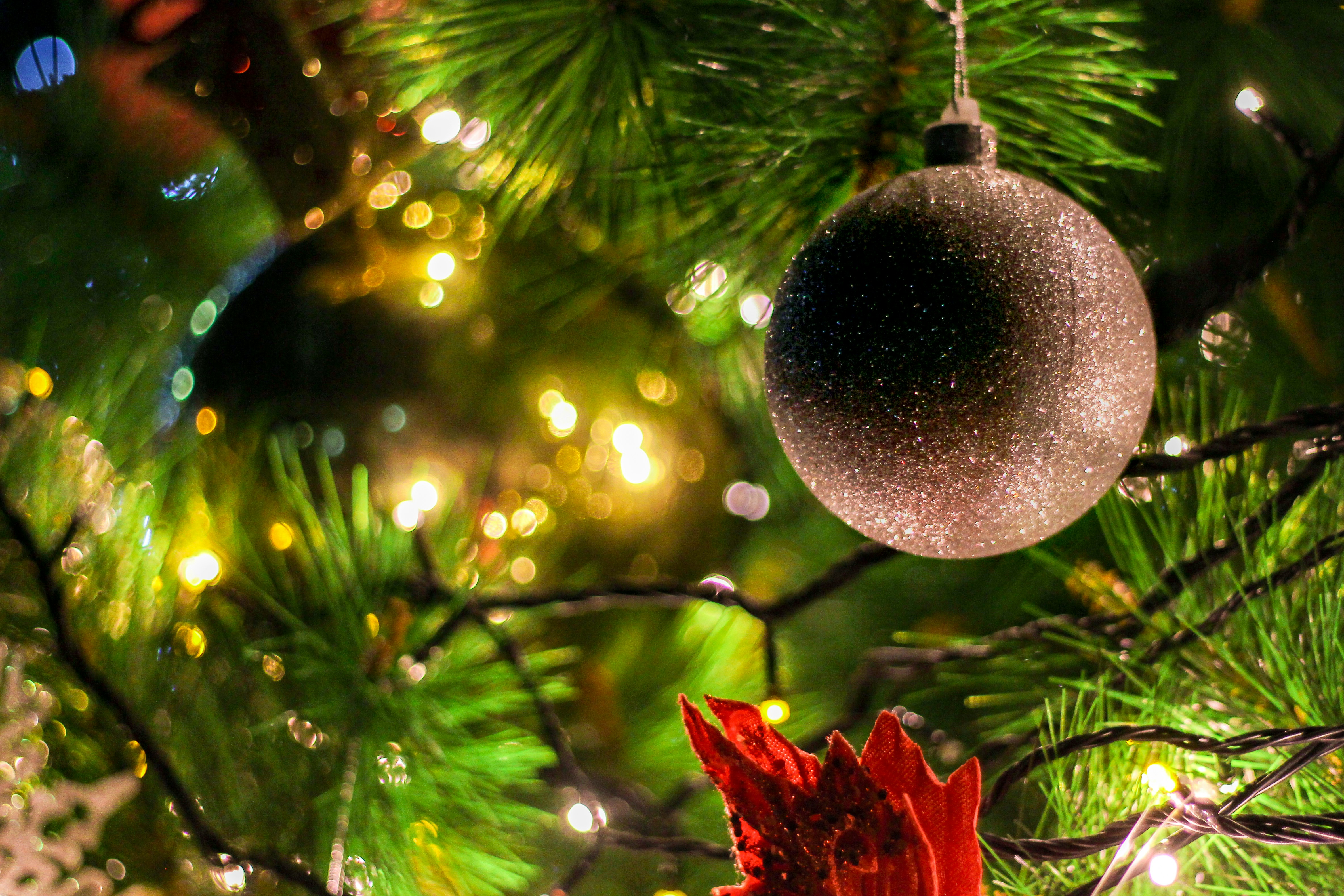 Photo by rickyrynselo