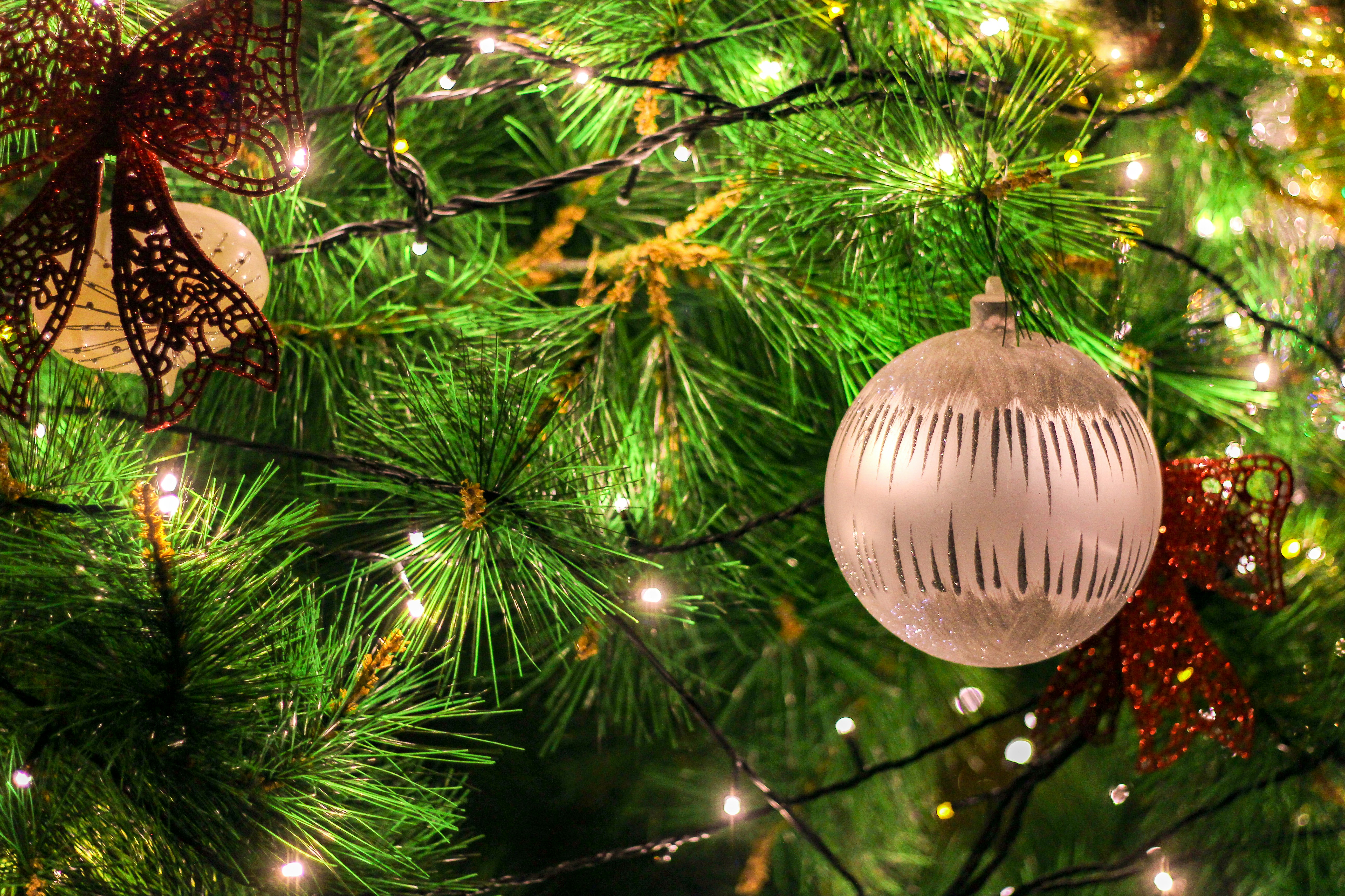 Photo by rickyrynselo