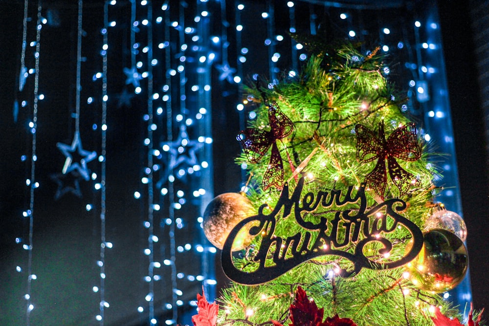 a christmas tree with a merry christmas sign on it