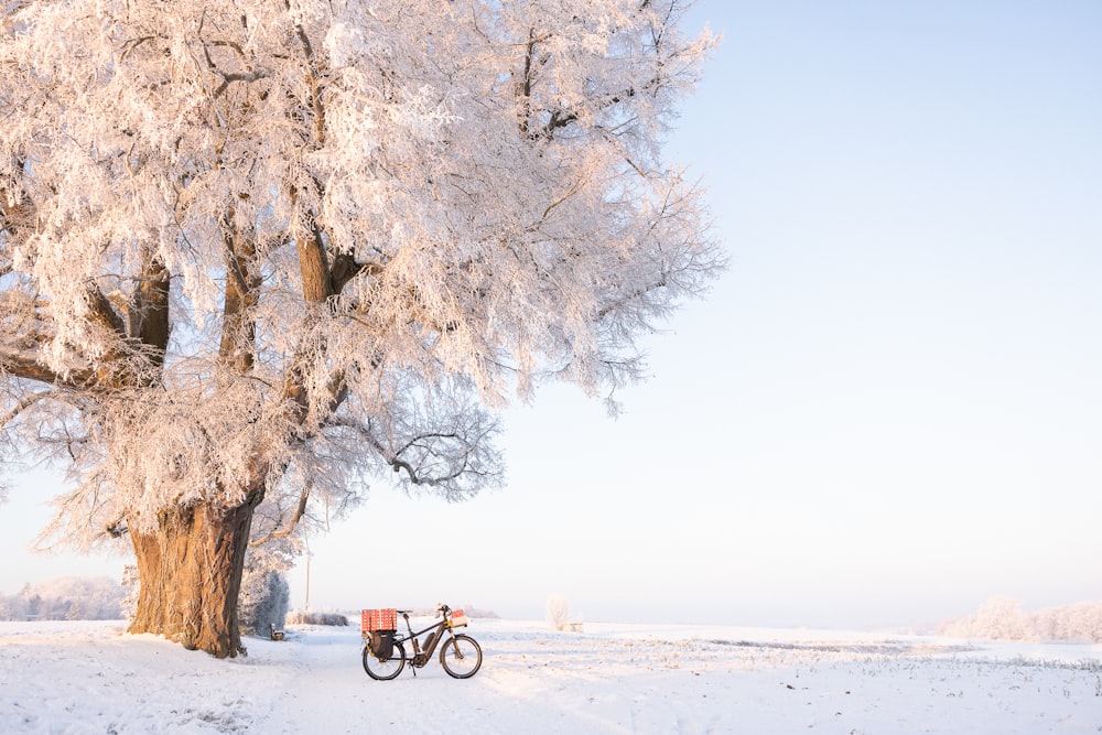 a bike parked under a tree in the snow