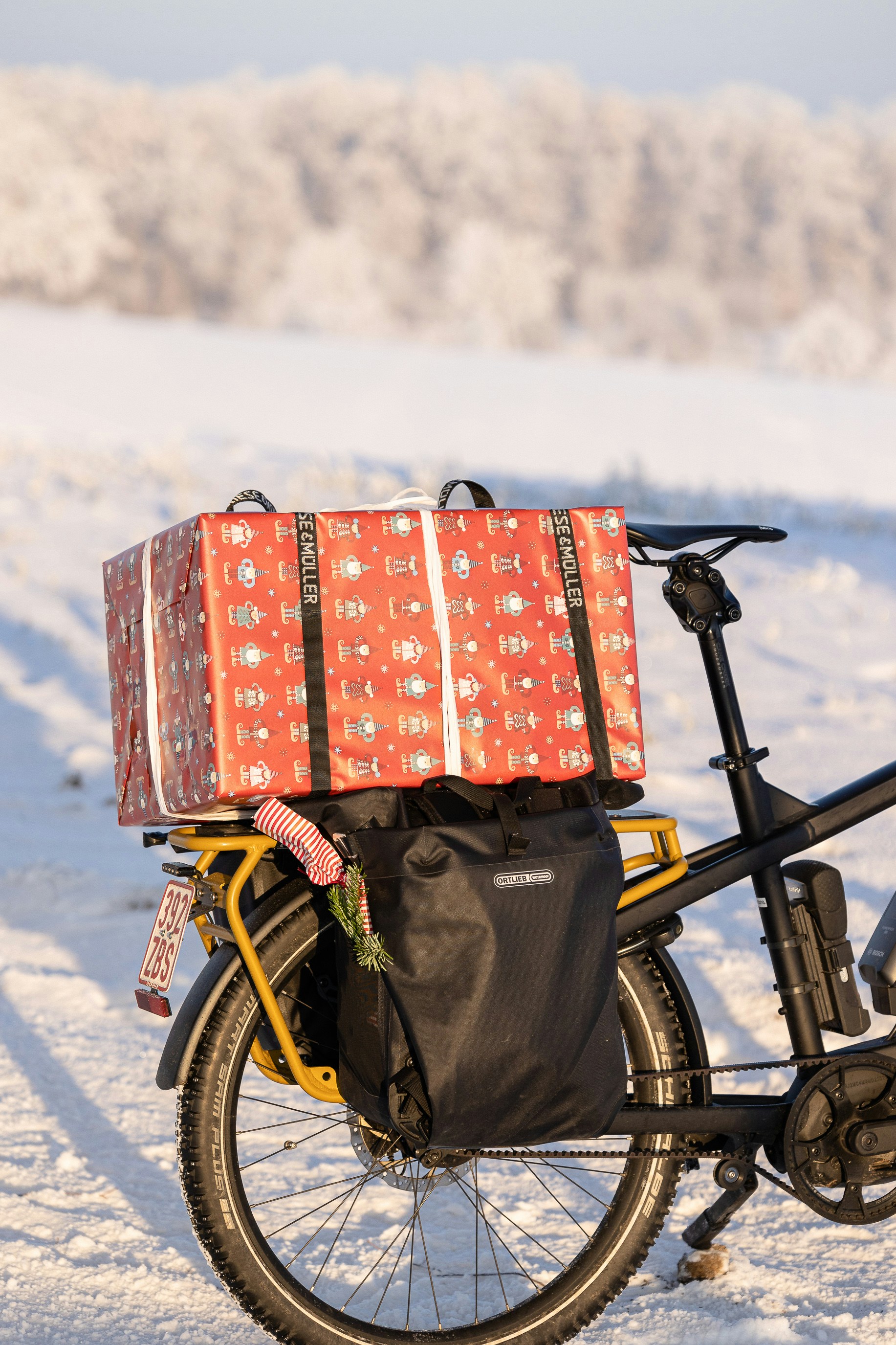 Cargo bicycle rear rack with black pannier cycling bag and loaded packages on a snowy route