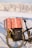 A bicycle equipped with a large wrapped gift box on the rear rack, set against a snowy winter landscape. The gift box features a red wrapping with white and blue motifs. A black pannier is attached to the bike, adorned with a small evergreen branch and a red and white striped ribbon. The tire tracks in the snow and a blurred line of snow-covered trees in the background add to the festive, winter theme.