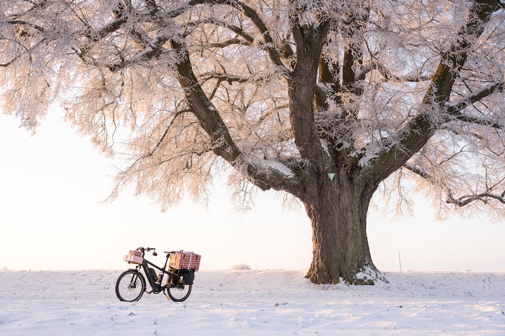 a bike parked under a tree in the snow