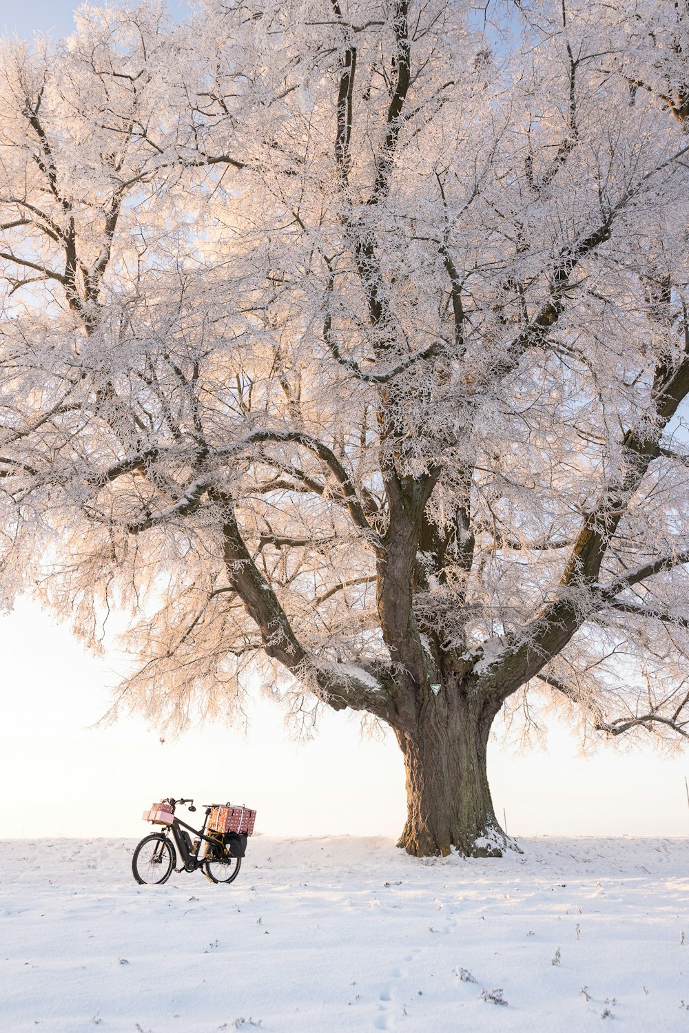a bike parked next to a tree in the snow