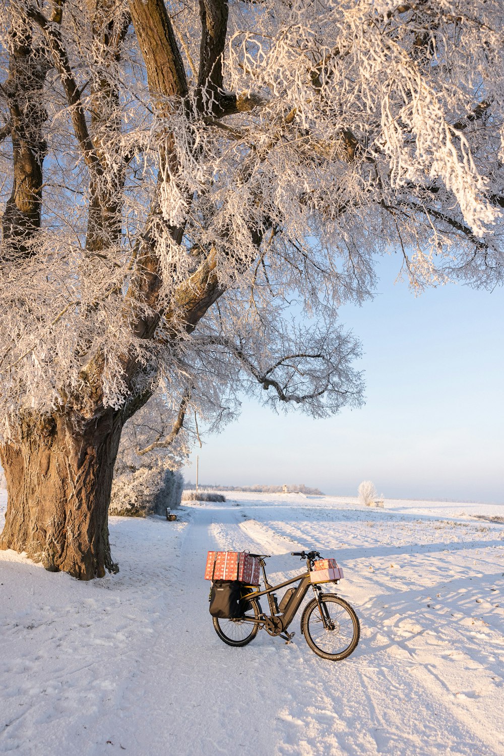 a bike parked next to a tree covered in snow