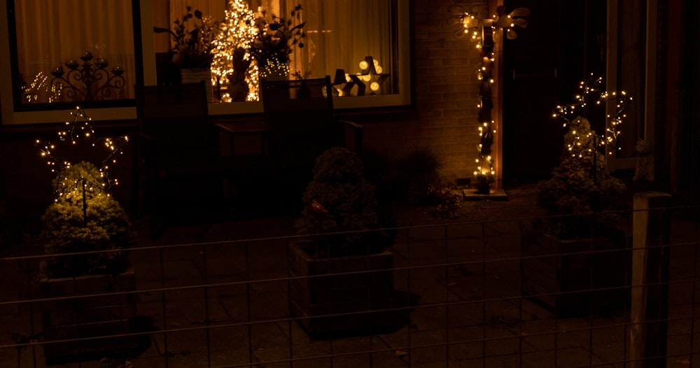 a house is decorated with christmas lights and potted plants