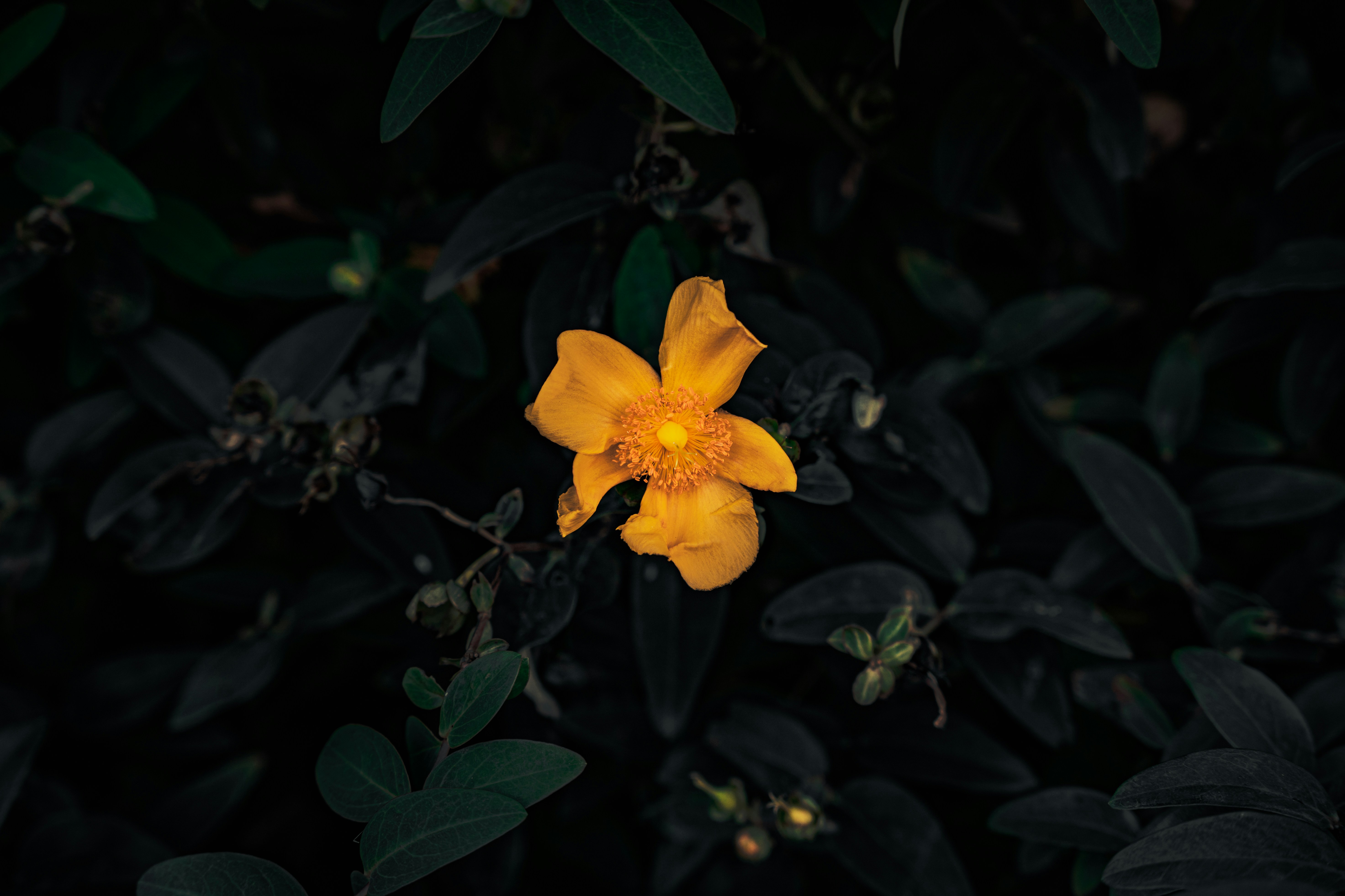 Photo by winstontjia