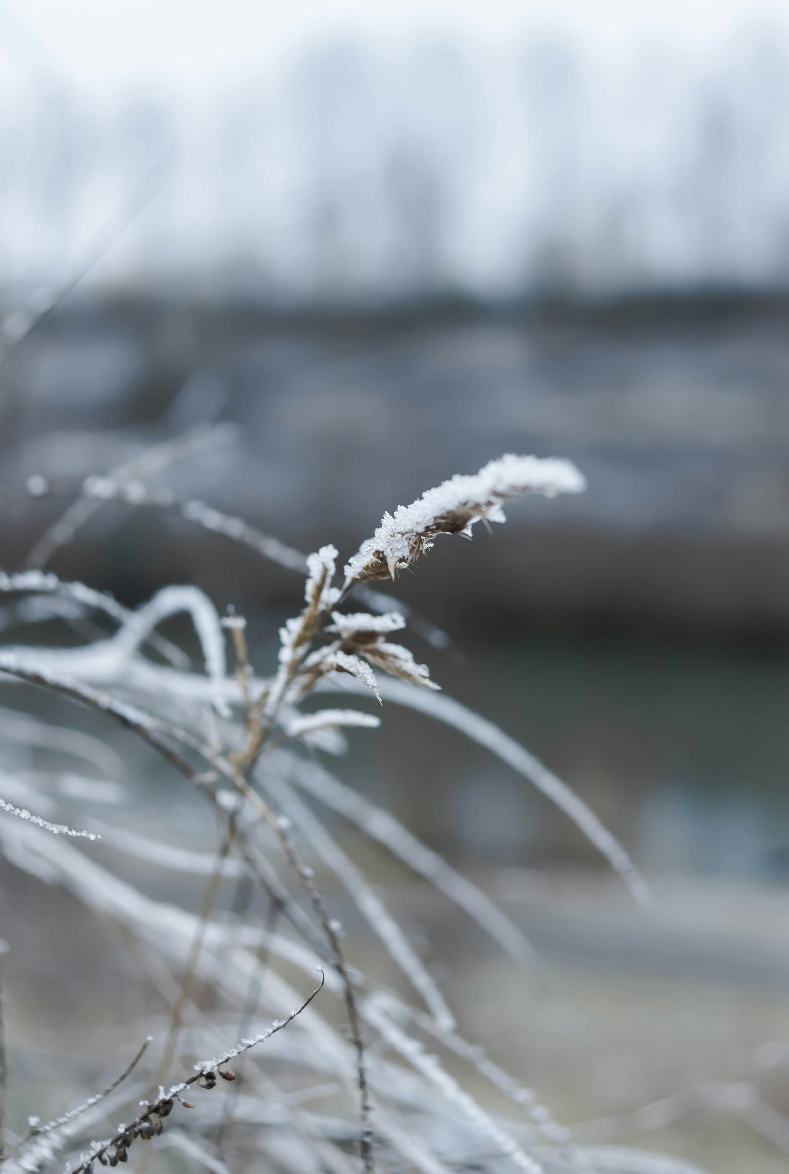 Photo by geikeverniers