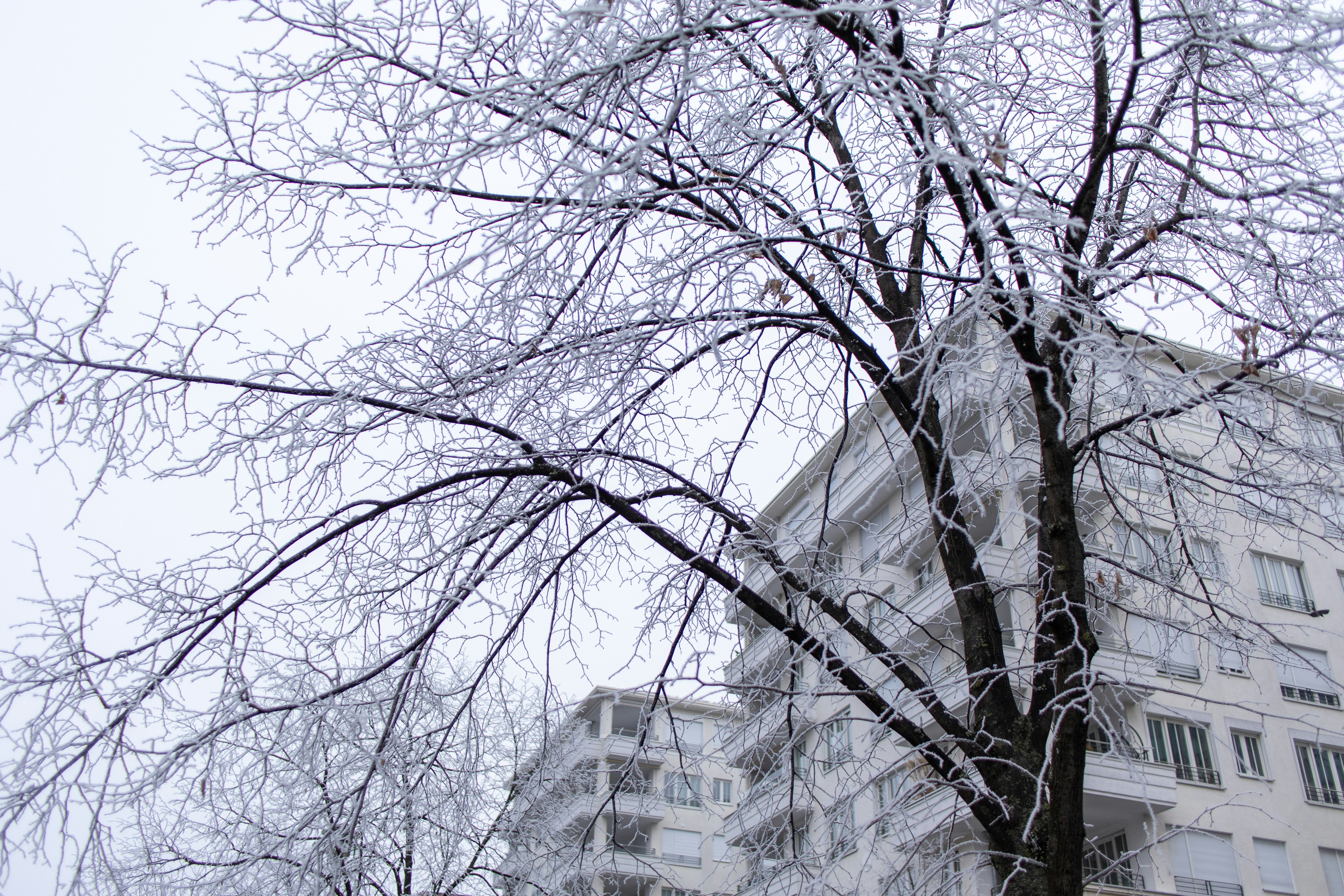 Photo by leventebagi
